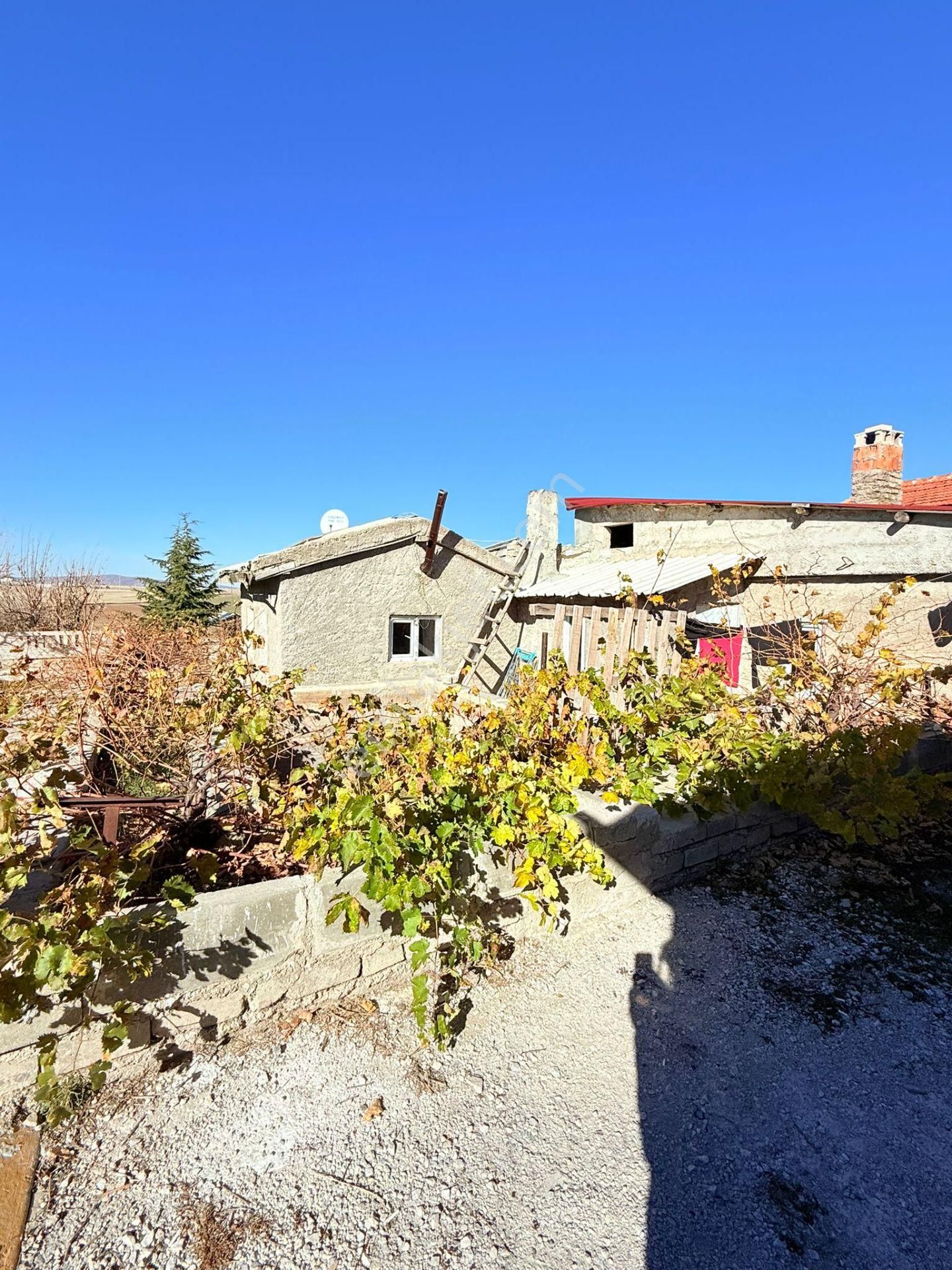 E-212 Emirdağ Satılık 25 Dönüm Çiftlik - Görsel 7