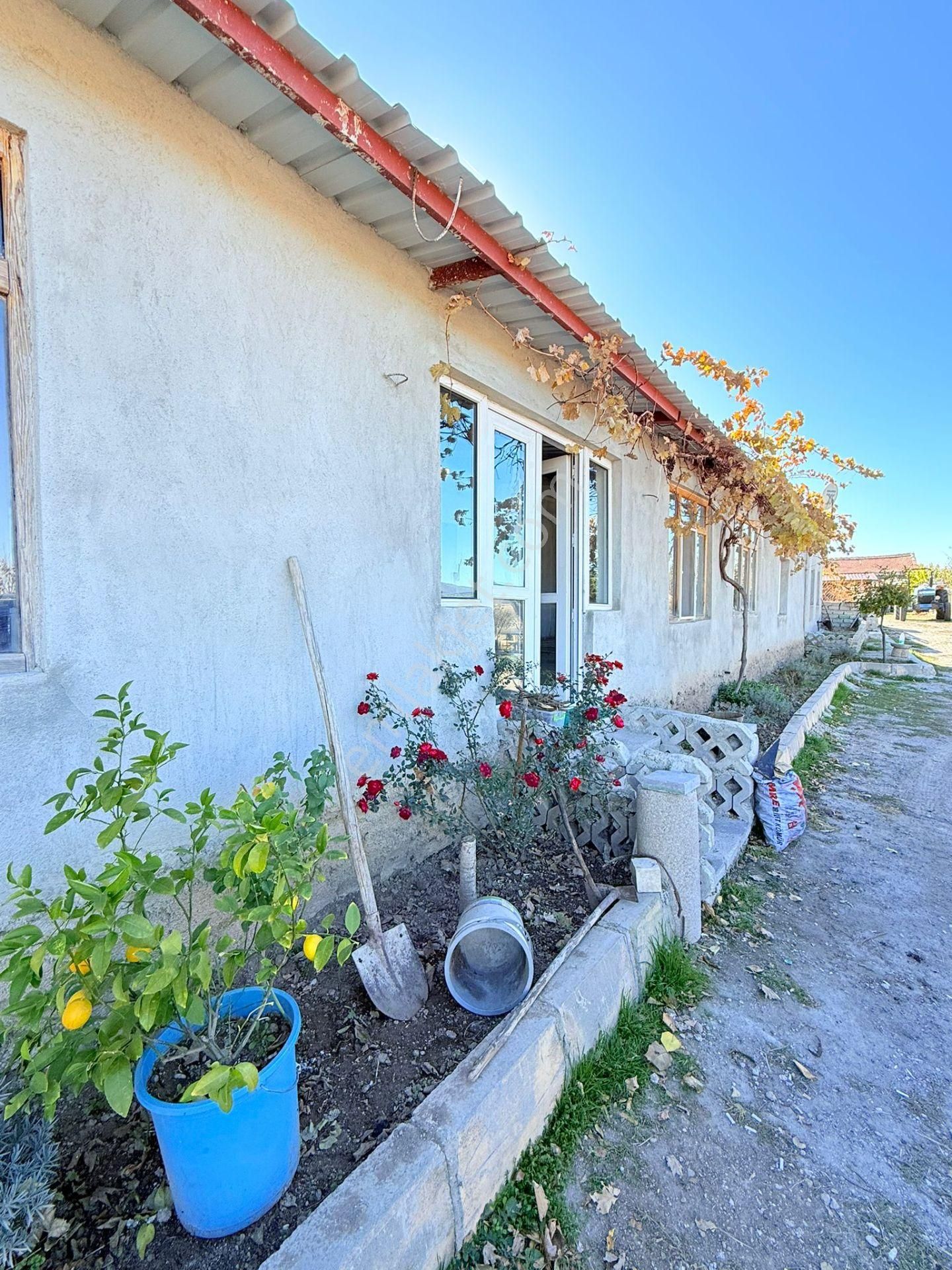 E-212 Emirdağ Satılık 25 Dönüm Çiftlik - Görsel 10