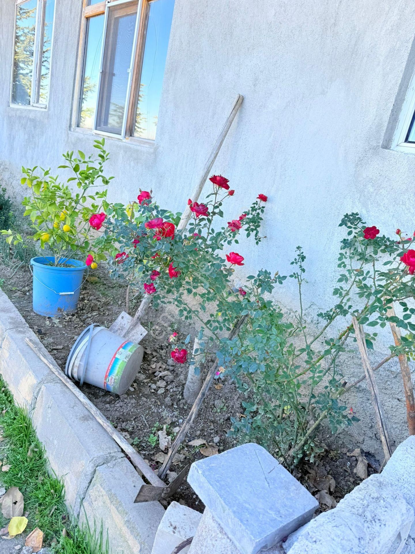 E-212 Emirdağ Satılık 25 Dönüm Çiftlik - Görsel 12