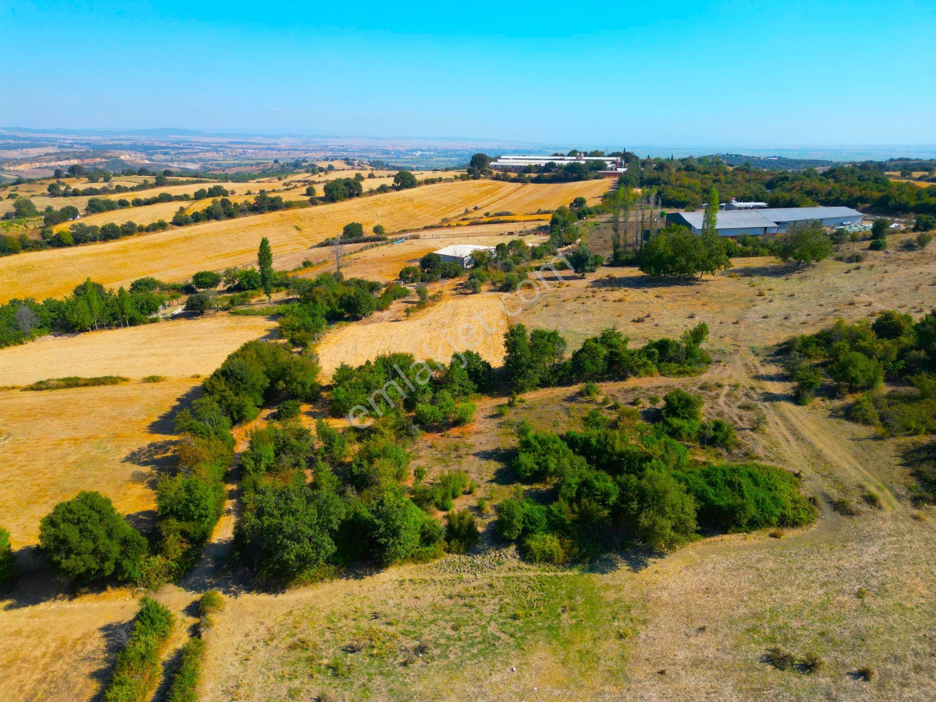 |biga| Merkeze 10 Dakika Gölete Ve Ormana Yakın Hobicilere Uygun Arazi! - Görsel 8