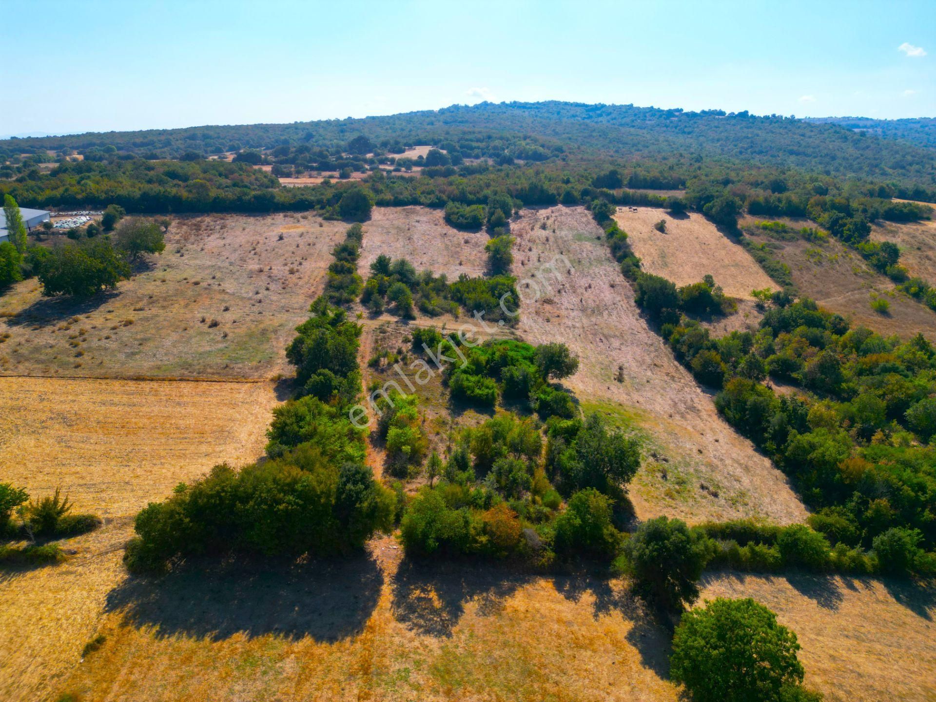 |biga| Merkeze 10 Dakika Gölete Ve Ormana Yakın Hobicilere Uygun Arazi! - Görsel 5