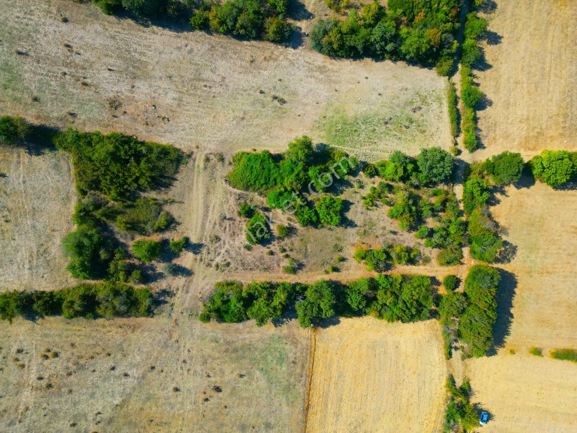 |biga| Merkeze 10 Dakika Gölete Ve Ormana Yakın Hobicilere Uygun Arazi! - Görsel 13
