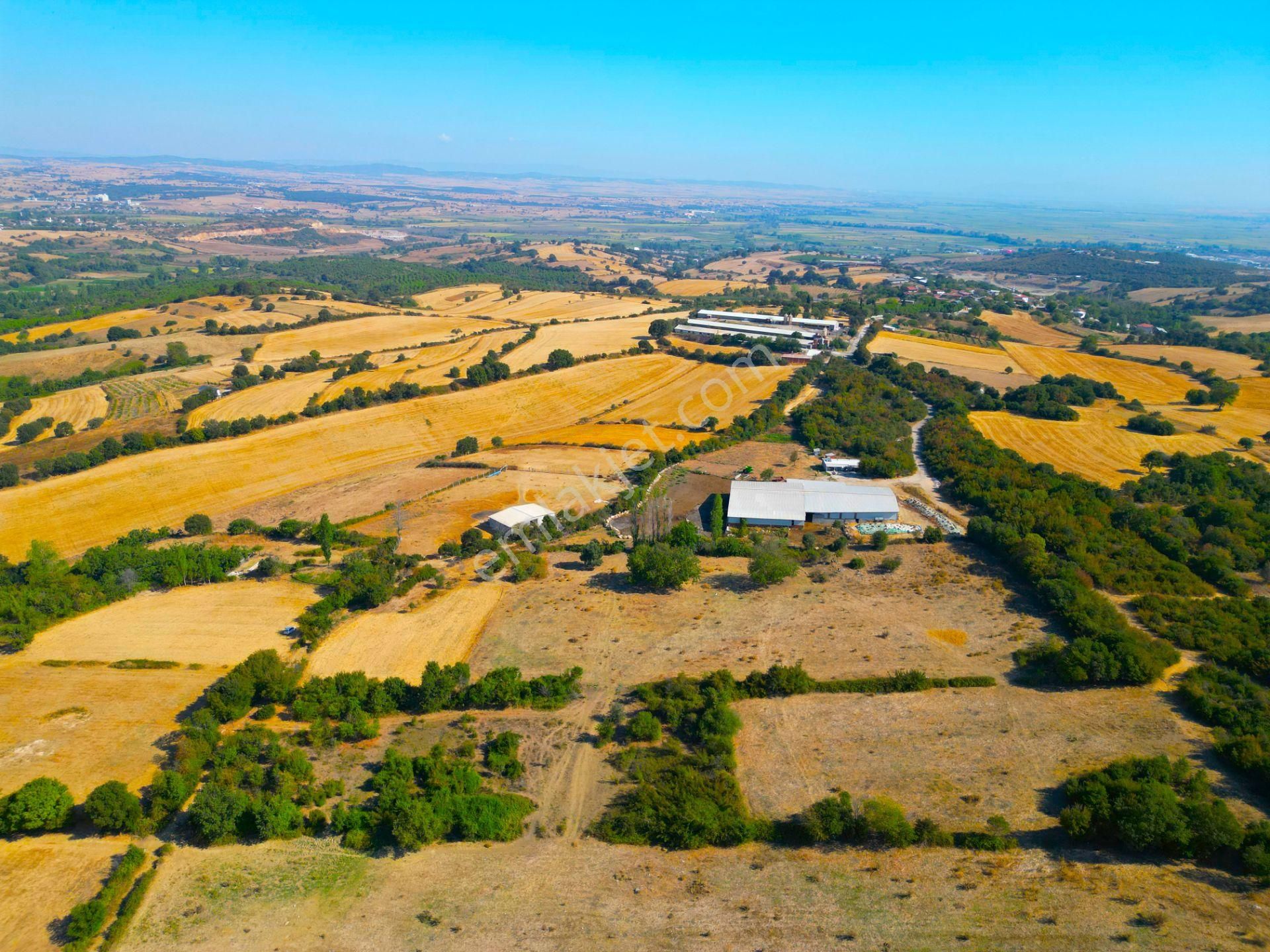 |biga| Merkeze 10 Dakika Gölete Ve Ormana Yakın Hobicilere Uygun Arazi! - Görsel 17