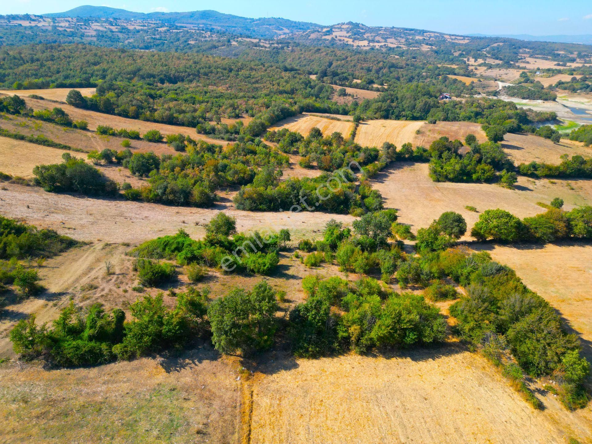 |biga| Merkeze 10 Dakika Gölete Ve Ormana Yakın Hobicilere Uygun Arazi! - Görsel 10