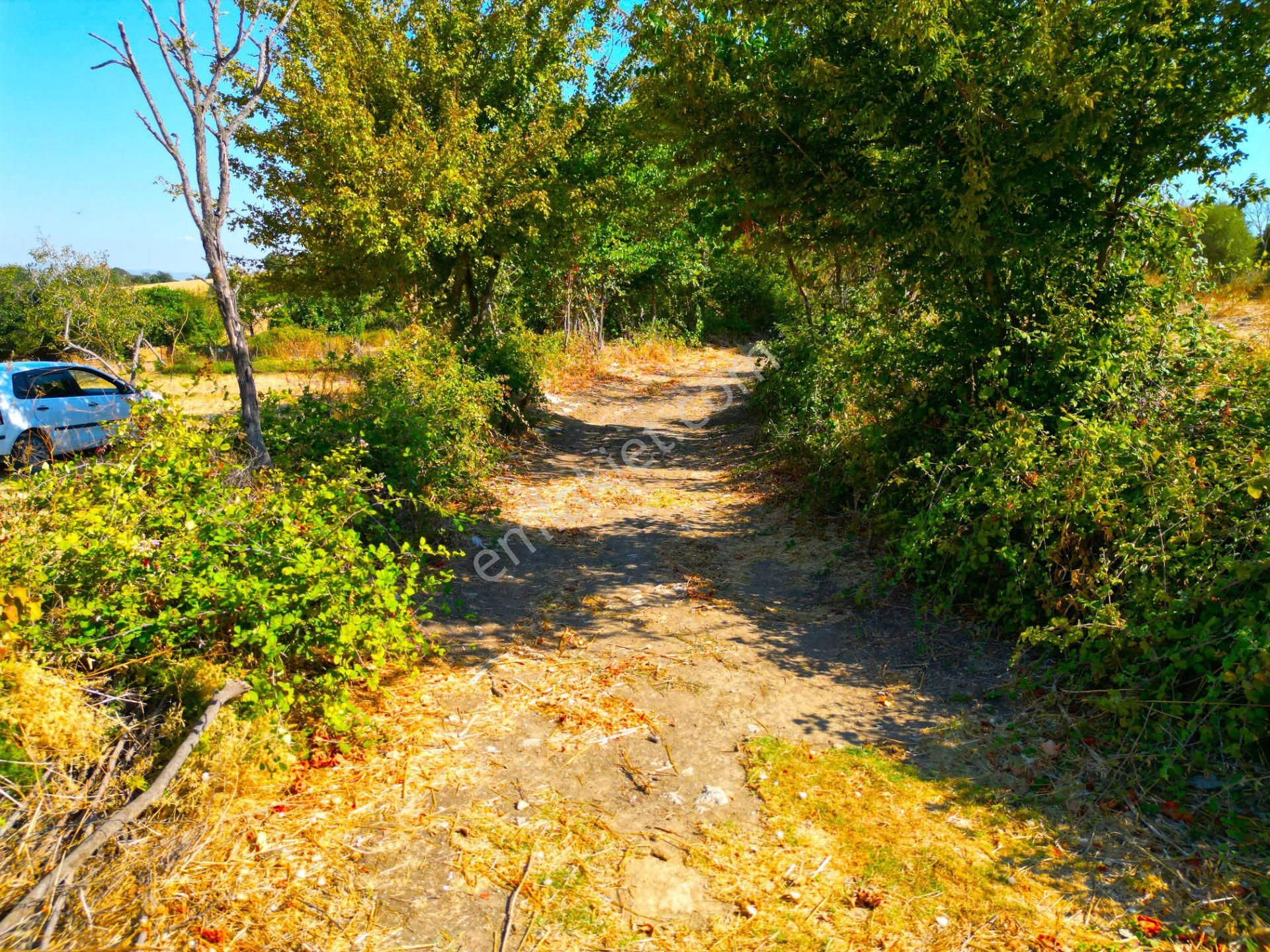 |biga| Merkeze 10 Dakika Gölete Ve Ormana Yakın Hobicilere Uygun Arazi! - Görsel 26