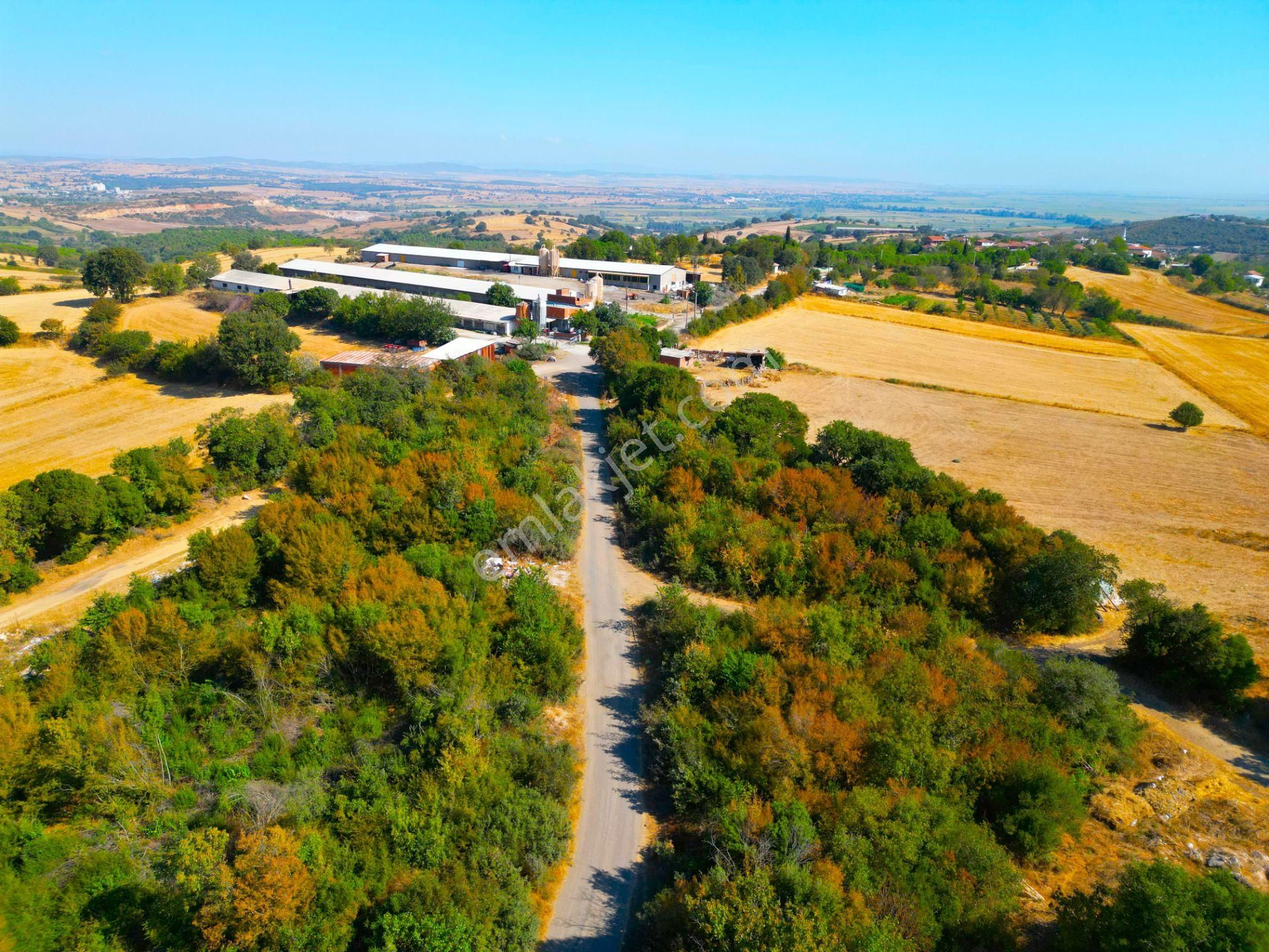 |biga| Merkeze 10 Dakika Gölete Ve Ormana Yakın Hobicilere Uygun Arazi! - Görsel 22