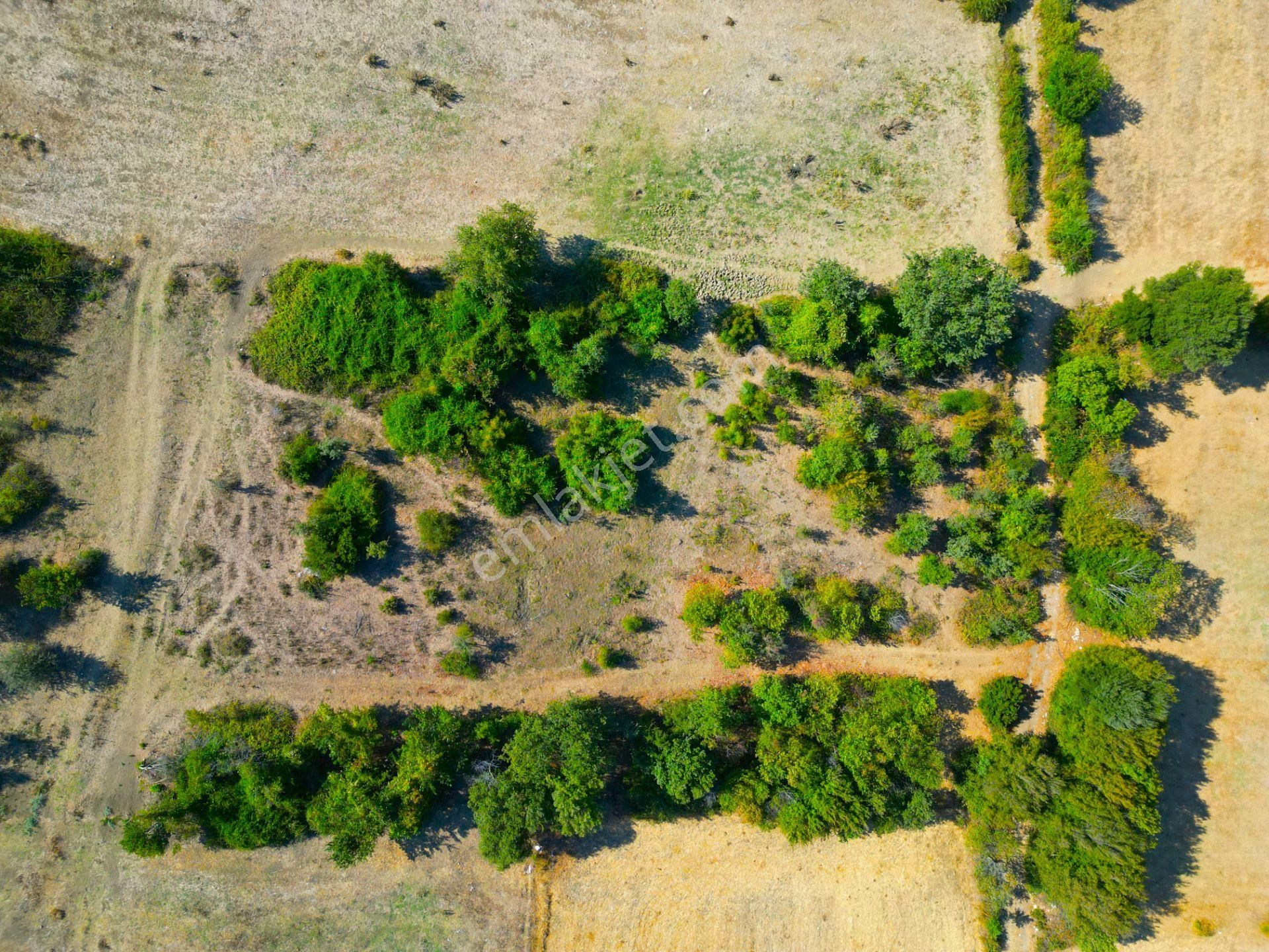 |biga| Merkeze 10 Dakika Gölete Ve Ormana Yakın Hobicilere Uygun Arazi! - Görsel 12