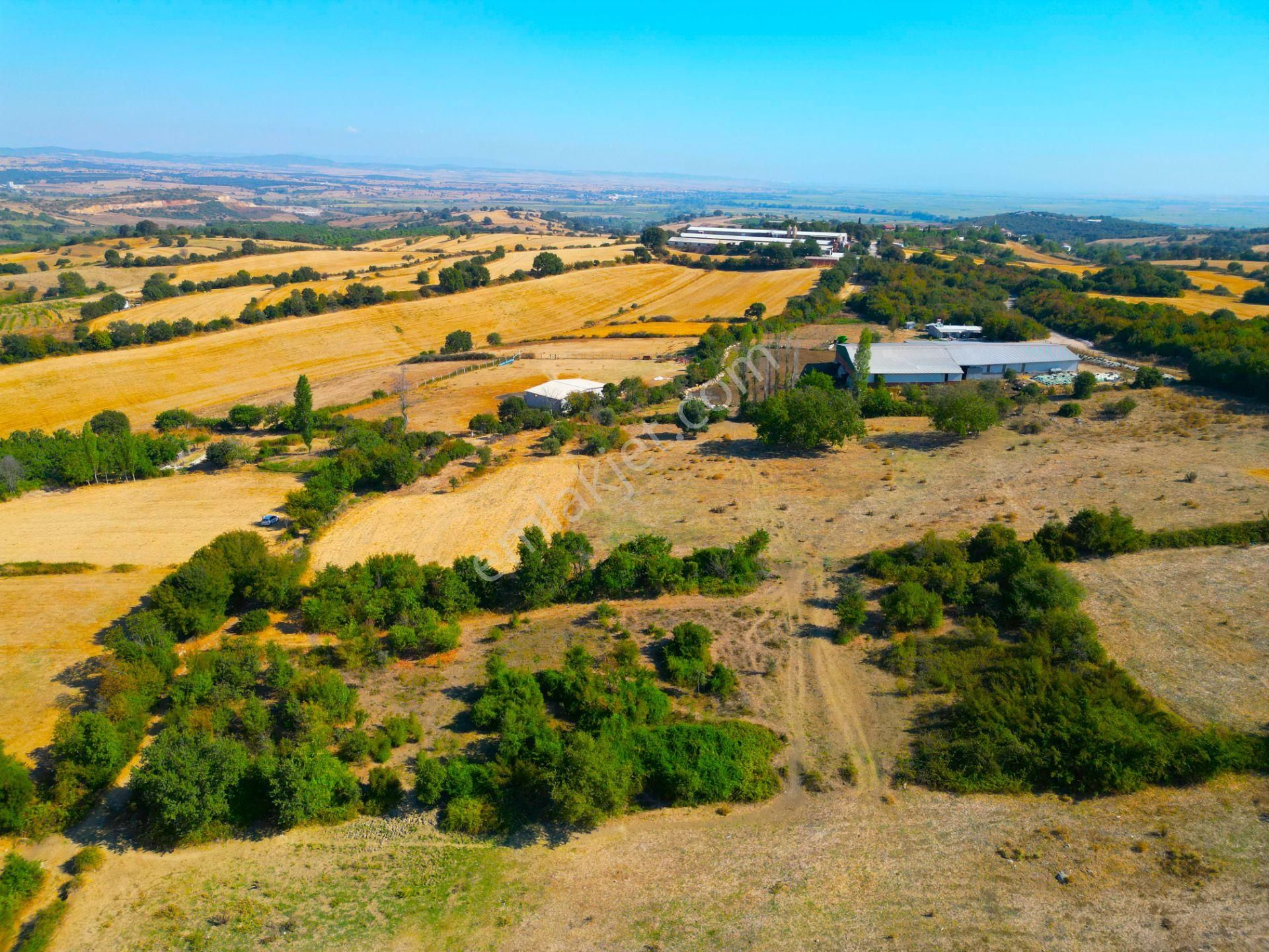 |biga| Merkeze 10 Dakika Gölete Ve Ormana Yakın Hobicilere Uygun Arazi! - Görsel 19