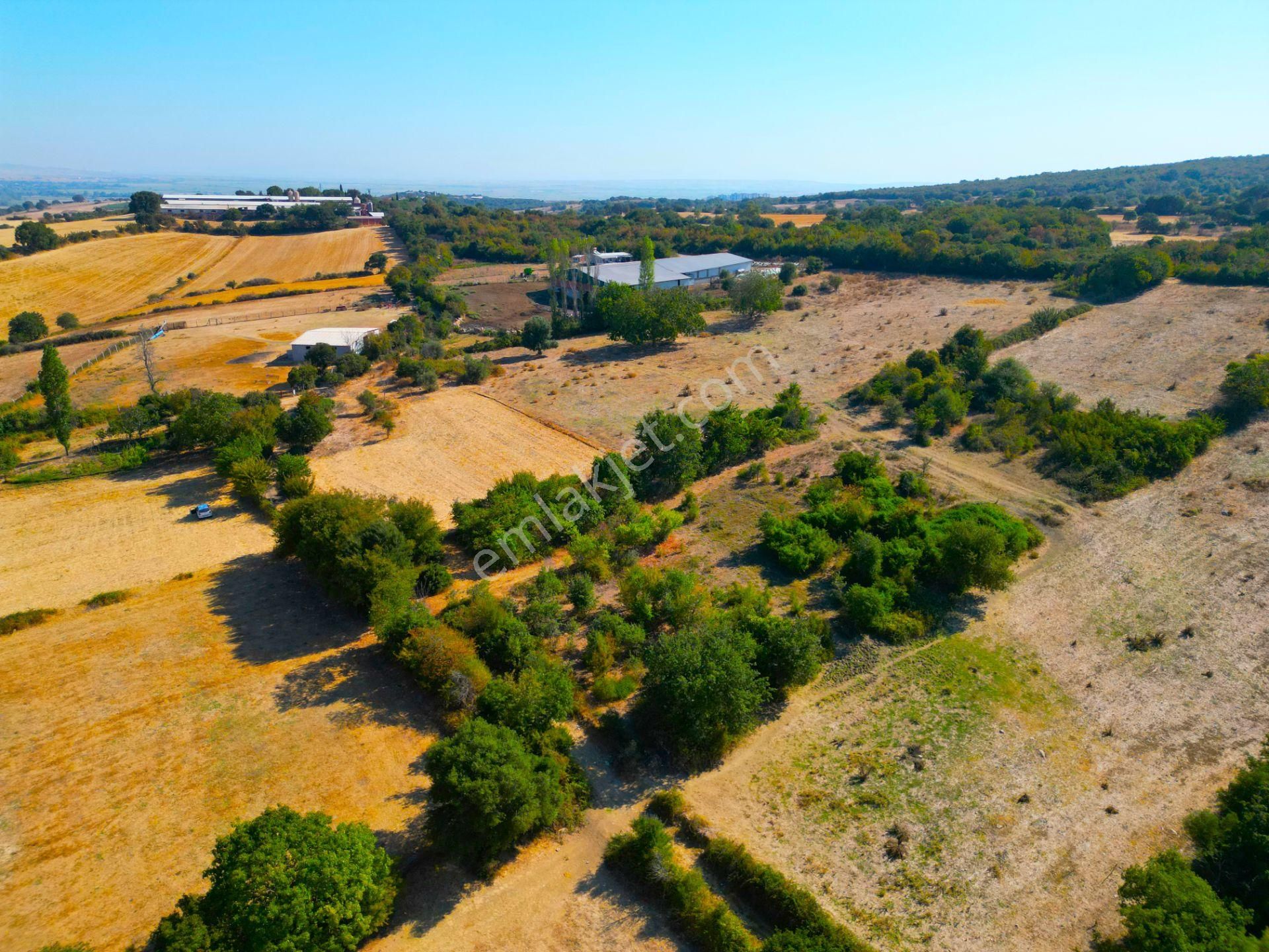 |biga| Merkeze 10 Dakika Gölete Ve Ormana Yakın Hobicilere Uygun Arazi! - Görsel 7