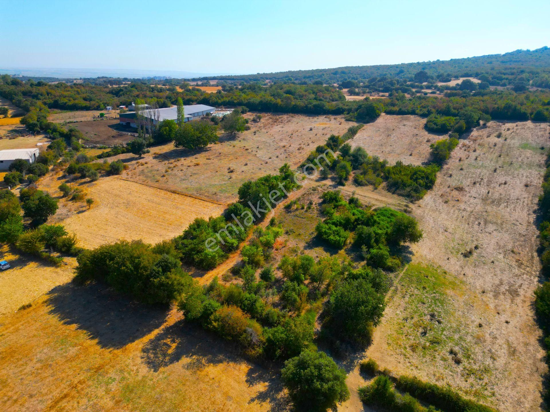 |biga| Merkeze 10 Dakika Gölete Ve Ormana Yakın Hobicilere Uygun Arazi! - Görsel 20
