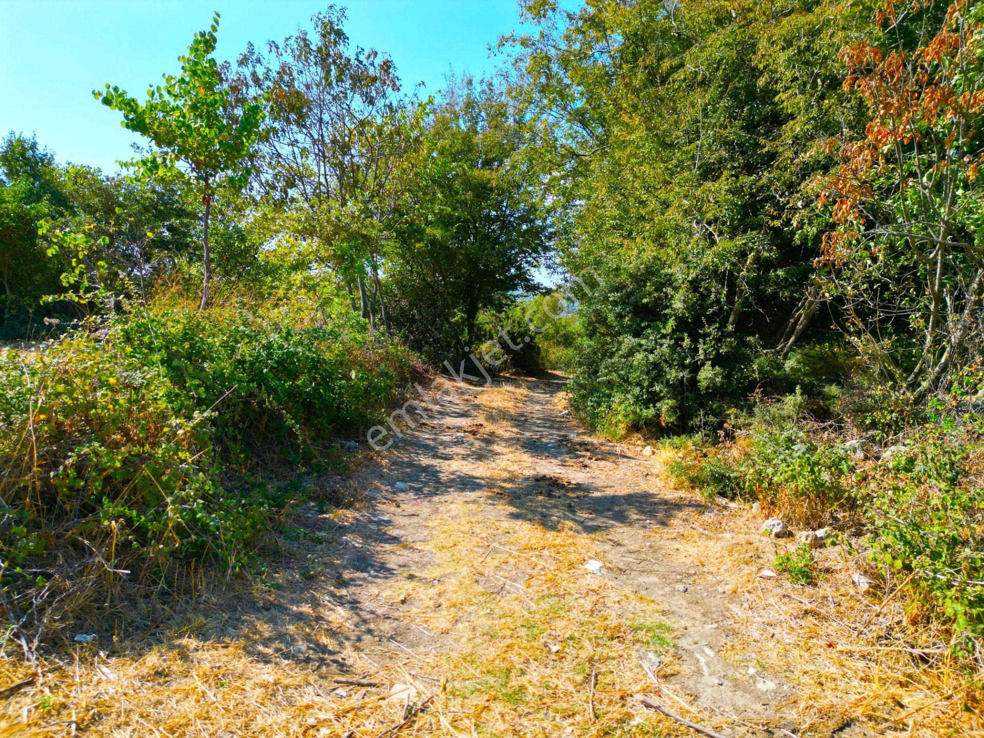 |biga| Merkeze 10 Dakika Gölete Ve Ormana Yakın Hobicilere Uygun Arazi! - Görsel 27