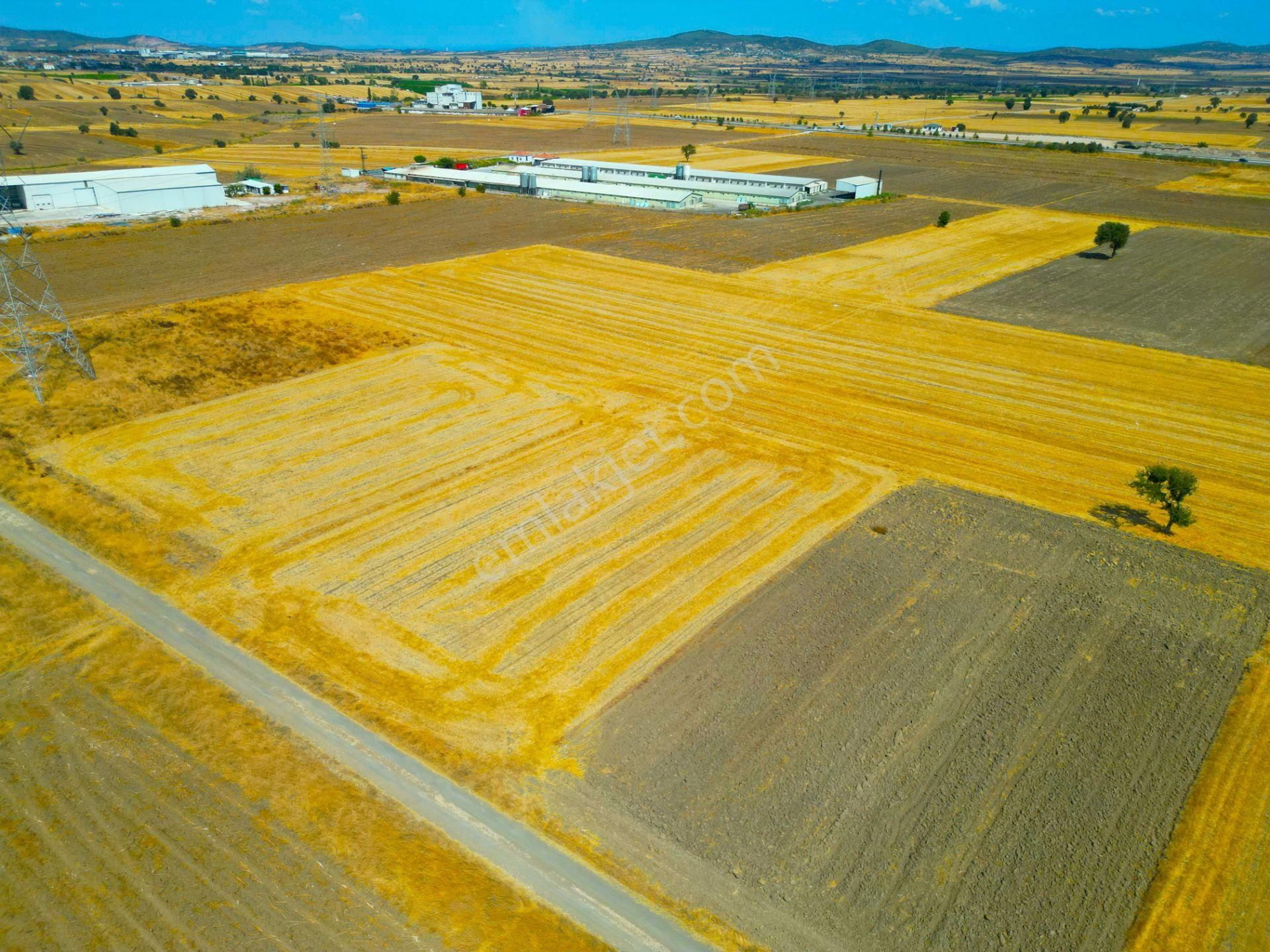 |biga| Bursa - Çanakkale Yolu Dibinde Biga'ya 10 Dk Yatırımlık Parsel! - Görsel 8