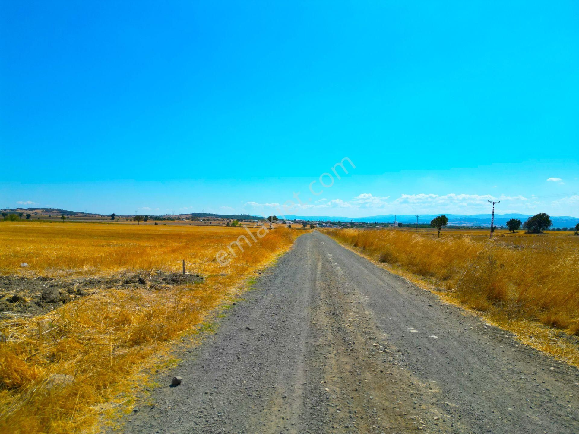 |biga| Bursa - Çanakkale Yolu Dibinde Biga'ya 10 Dk Yatırımlık Parsel! - Görsel 32