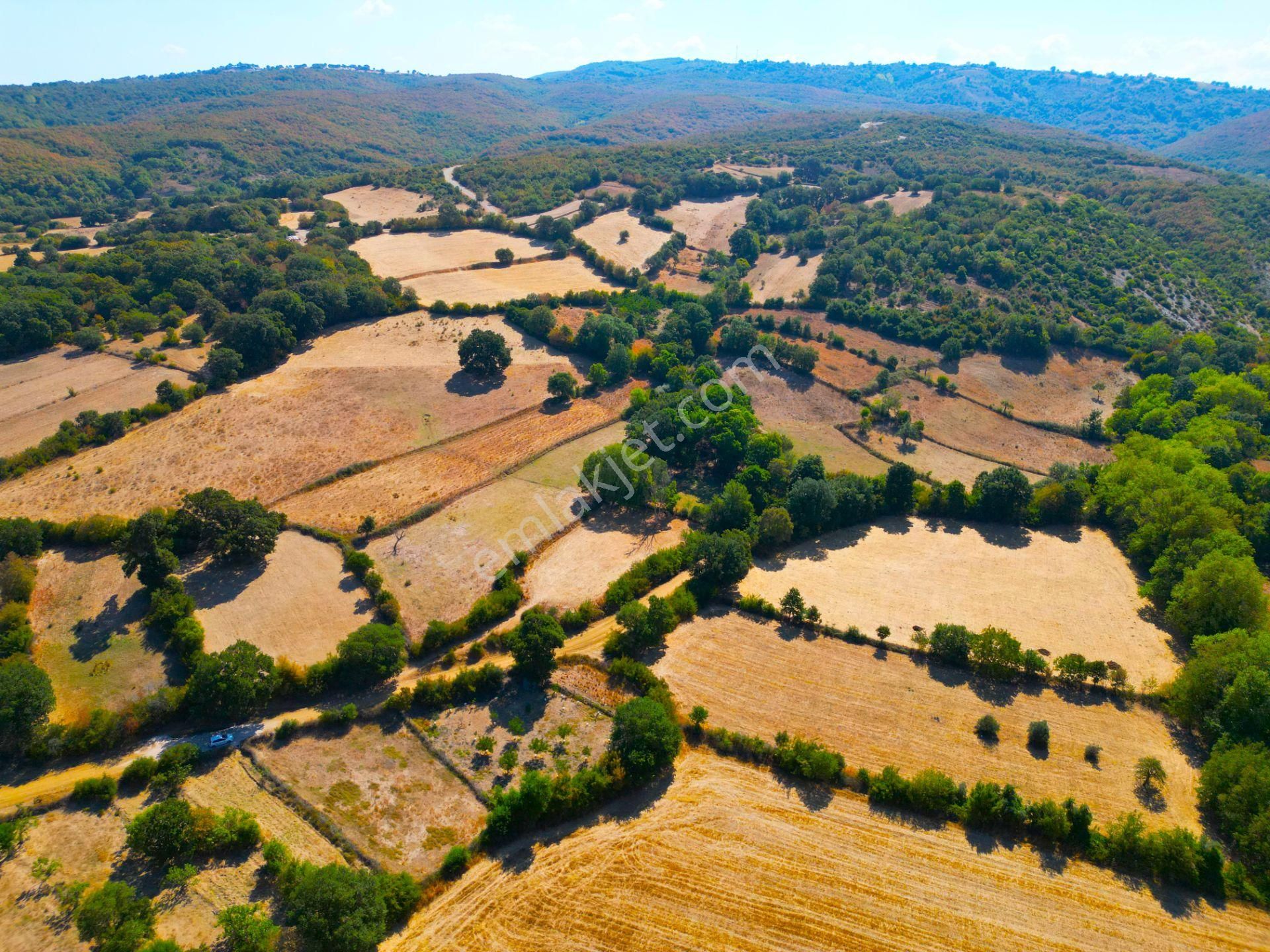 |biga| Tofaş Parasına Çanakkale'de Bahçe Fırsatı! Resmi Yolu Var! - Görsel 17