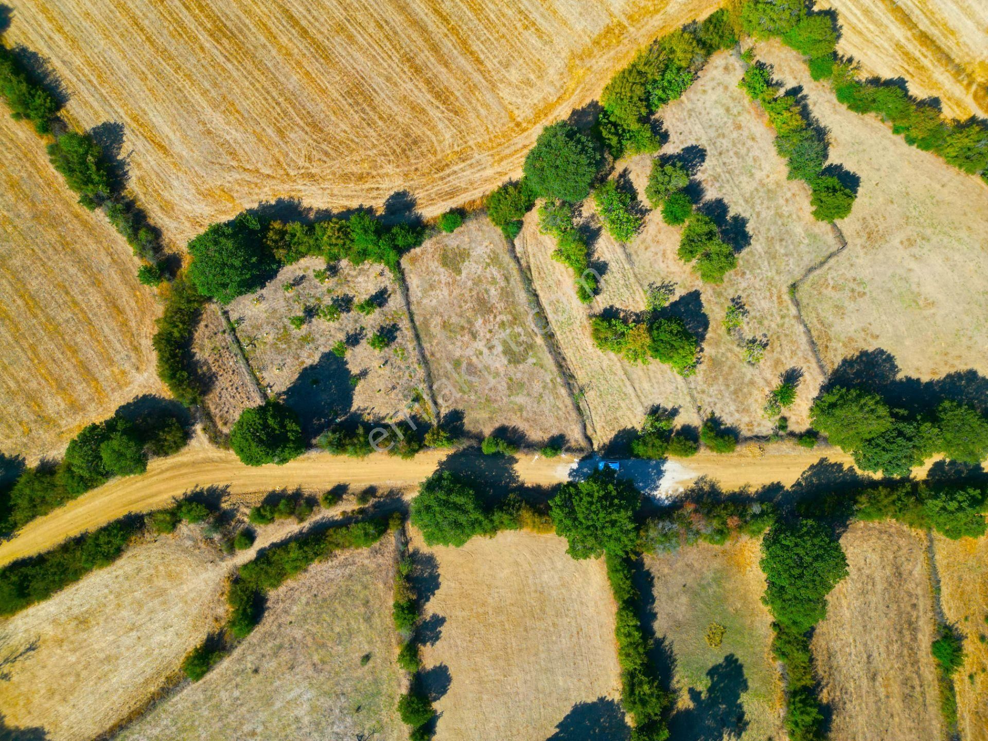 |biga| Tofaş Parasına Çanakkale'de Bahçe Fırsatı! Resmi Yolu Var! - Görsel 18