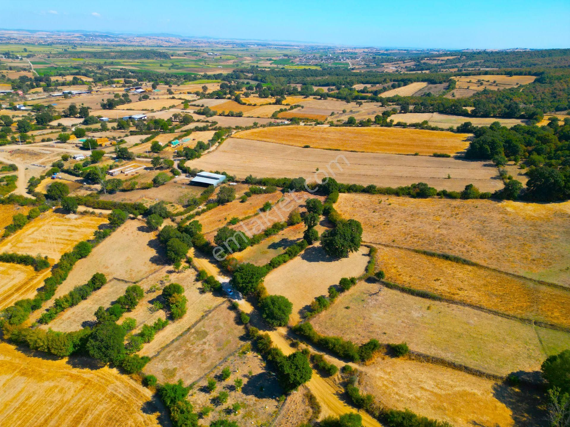|biga| Tofaş Parasına Çanakkale'de Bahçe Fırsatı! Resmi Yolu Var! - Görsel 15