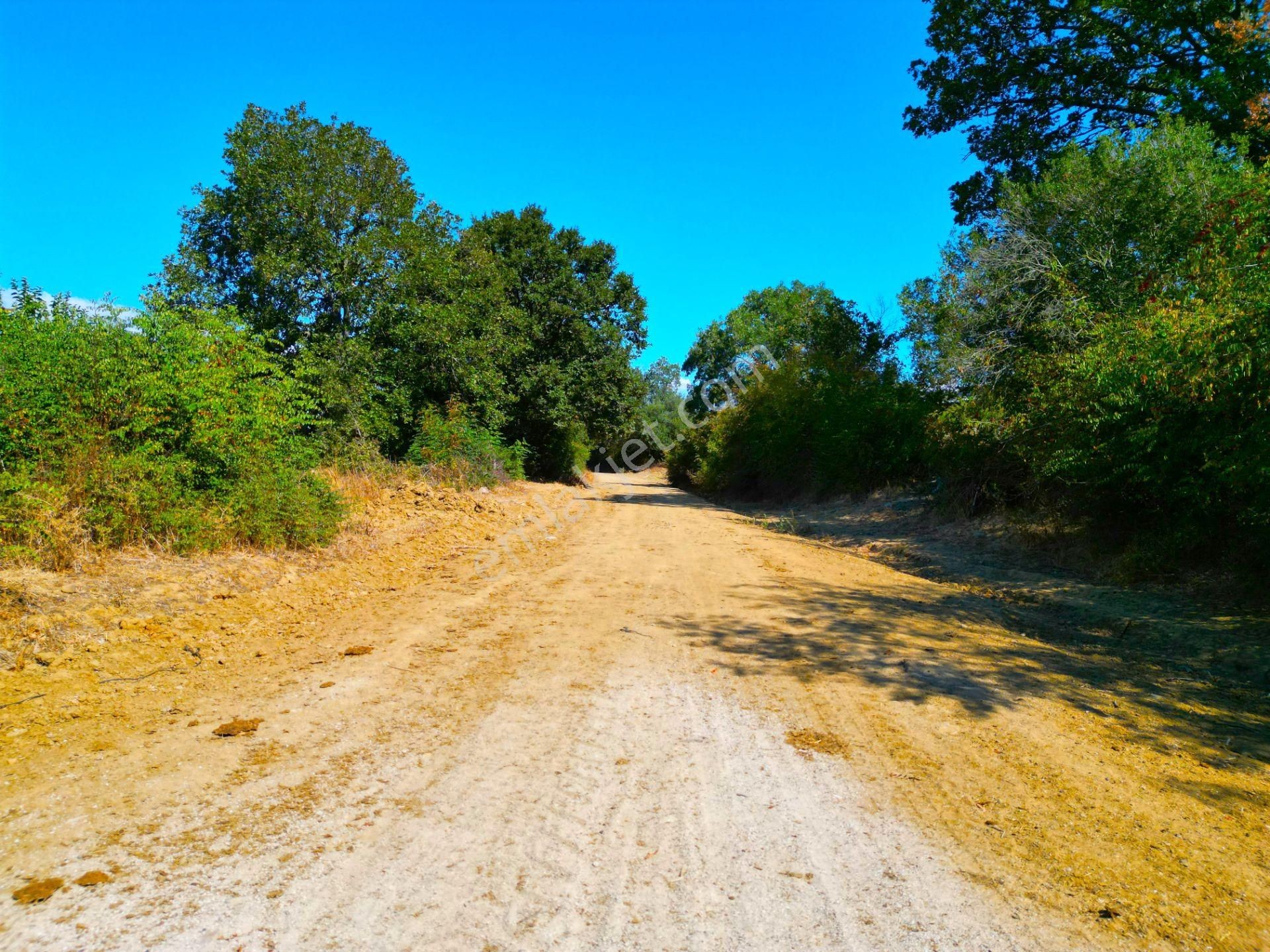 |biga| Tofaş Parasına Çanakkale'de Bahçe Fırsatı! Resmi Yolu Var! - Görsel 19