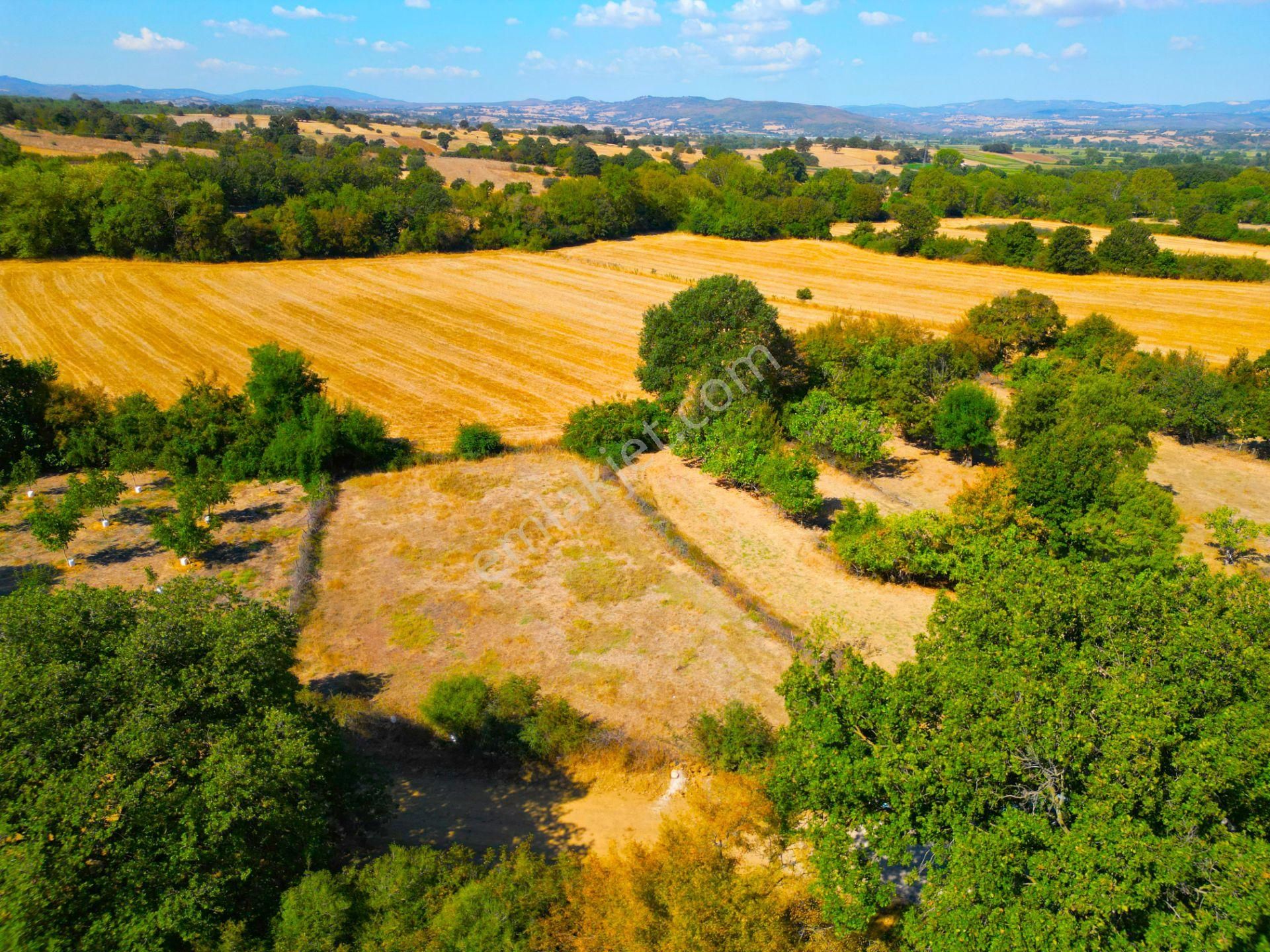 |biga| Tofaş Parasına Çanakkale'de Bahçe Fırsatı! Resmi Yolu Var! - Görsel 8