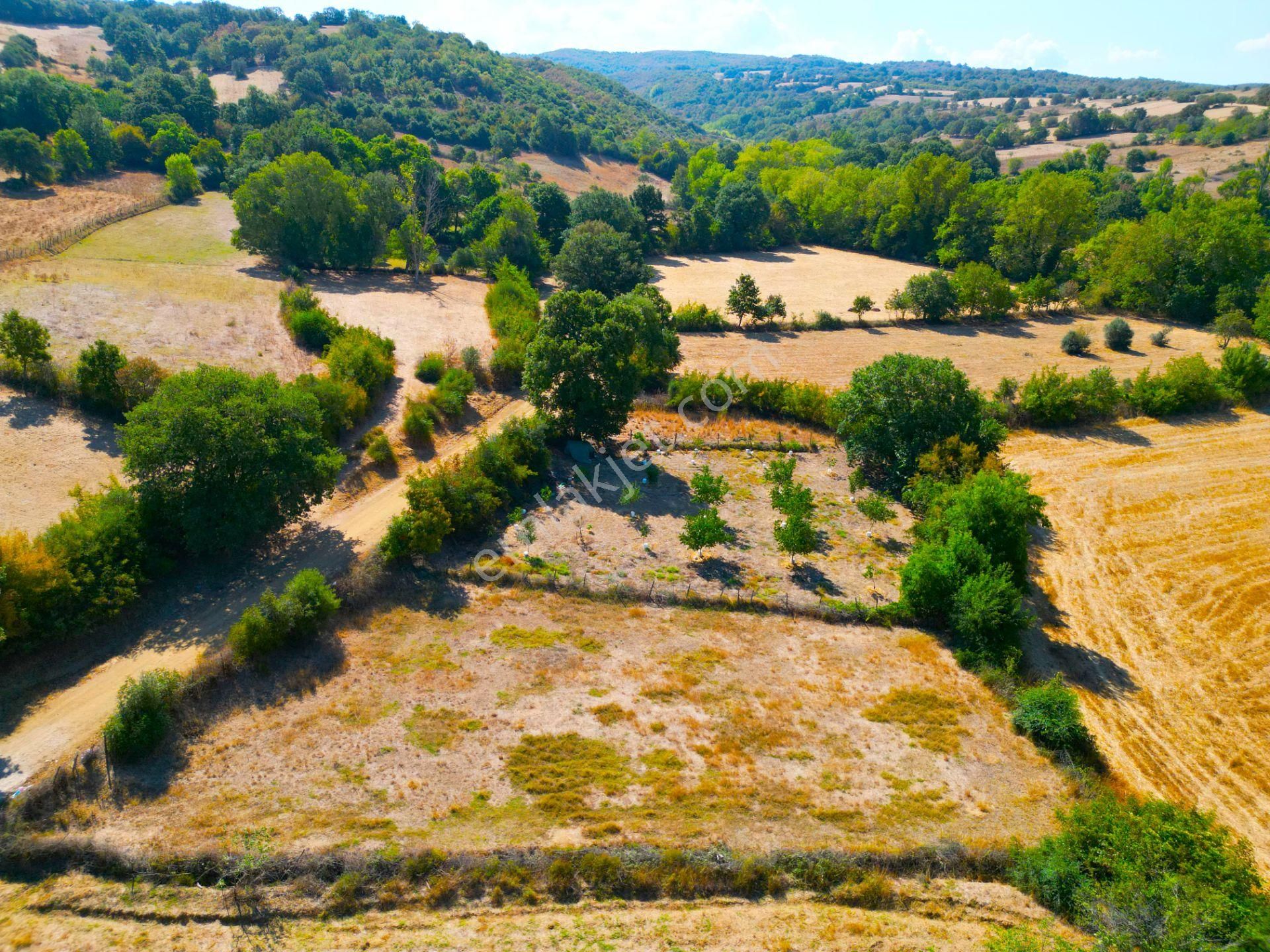 |biga| Tofaş Parasına Çanakkale'de Bahçe Fırsatı! Resmi Yolu Var! - Görsel 20