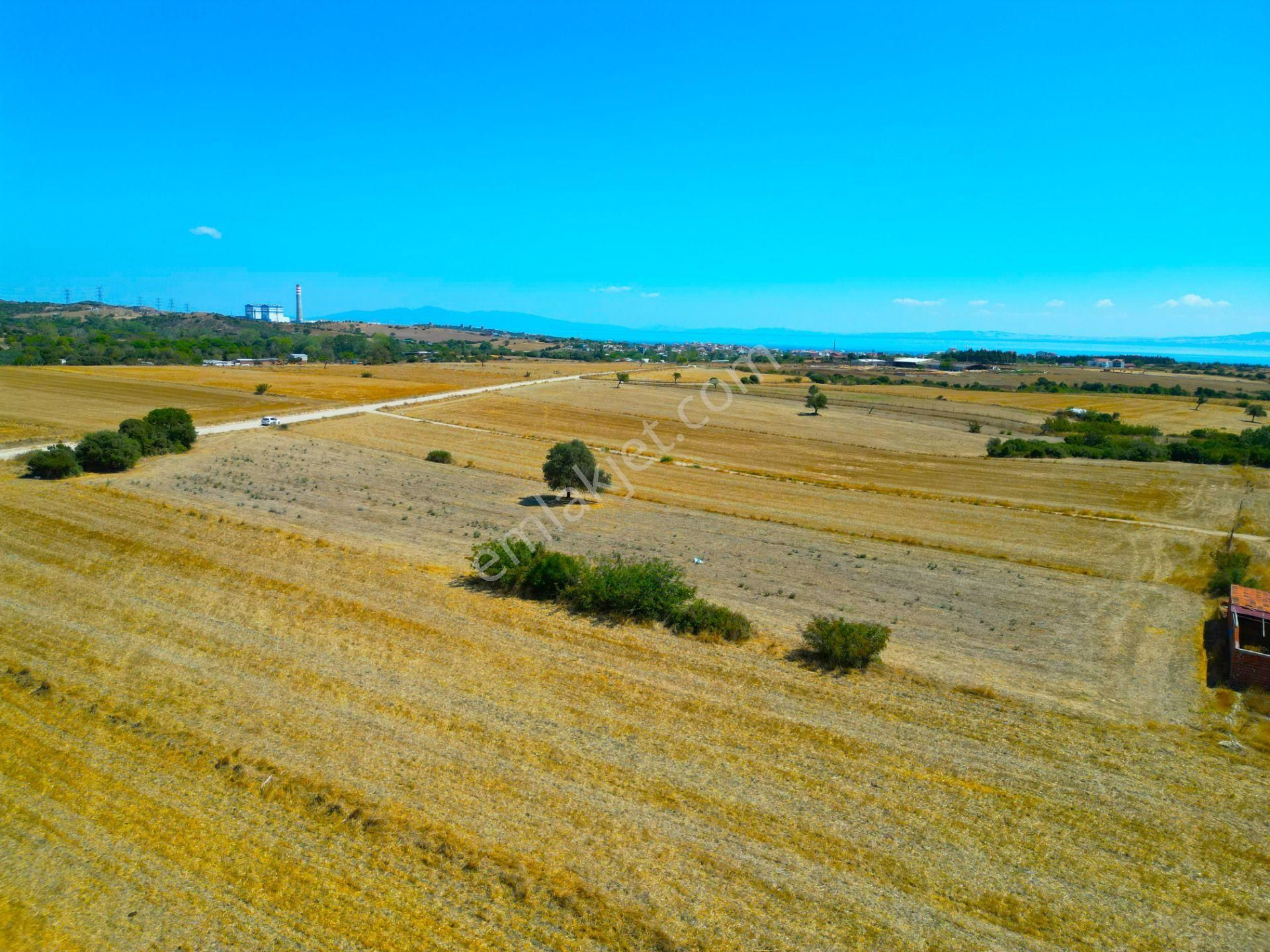 |biga|| Sahile 5 Dakika! Çanakkale Karabiga'da Yatırım Fırsatı! - Görsel 19