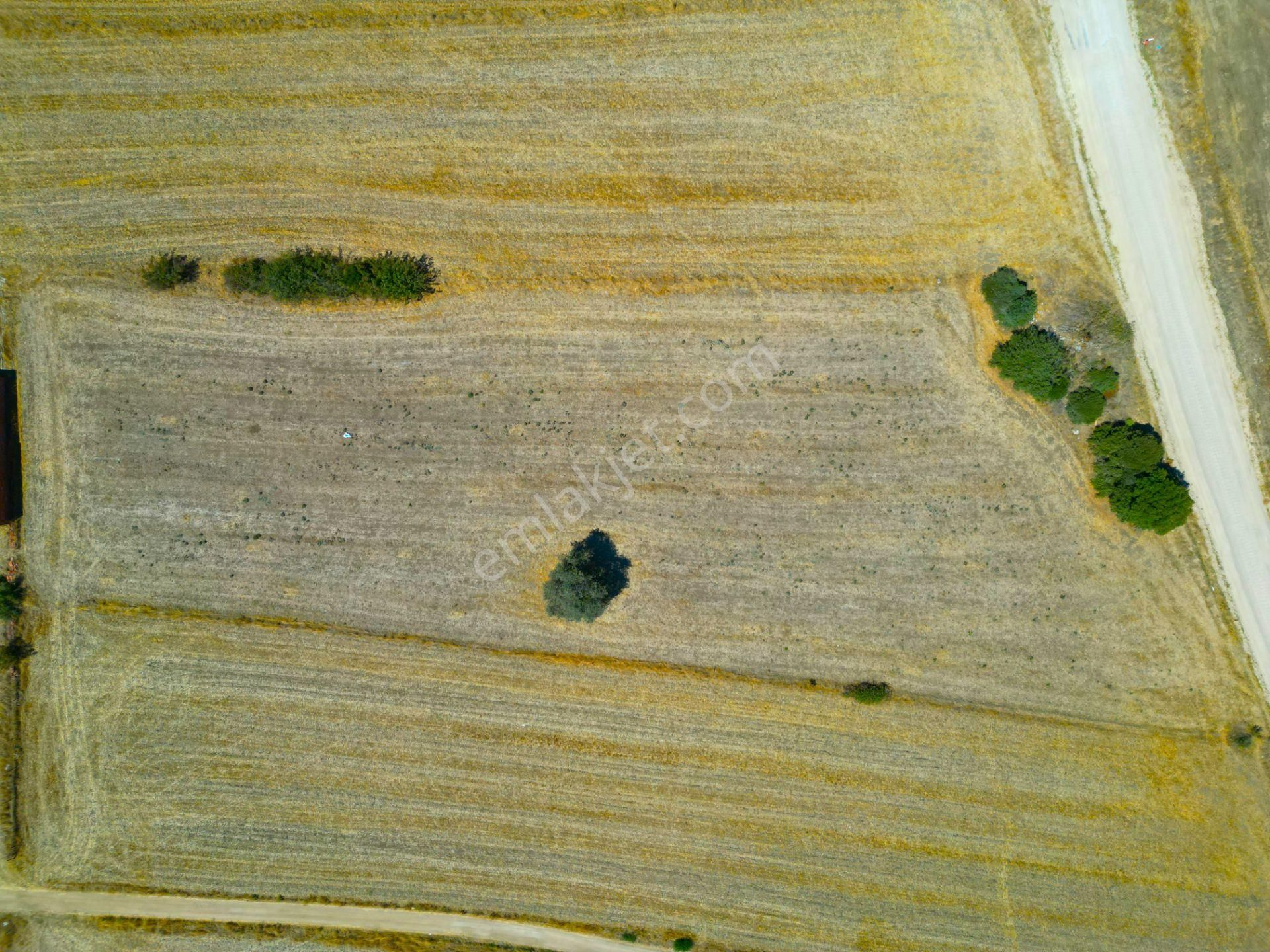 |biga|| Sahile 5 Dakika! Çanakkale Karabiga'da Yatırım Fırsatı! - Görsel 25