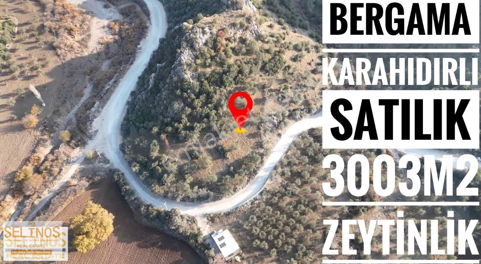 Karahıdırlı Mahallesinde 3000 M2 Müstakil Parsel Zeytinlik - Görsel 3