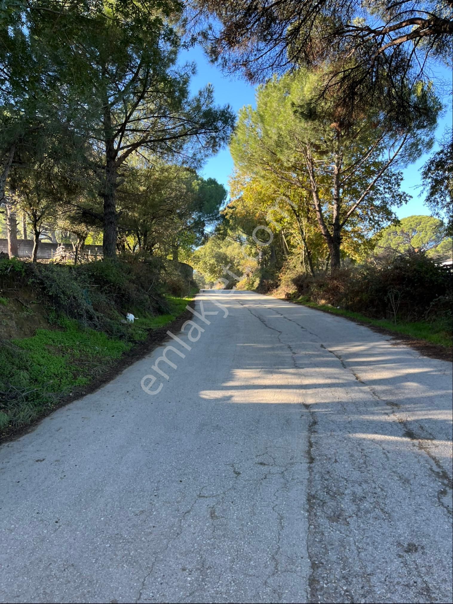 Kozak Çelebi Emlak Tan Villa İmarli Arsa 605 M2