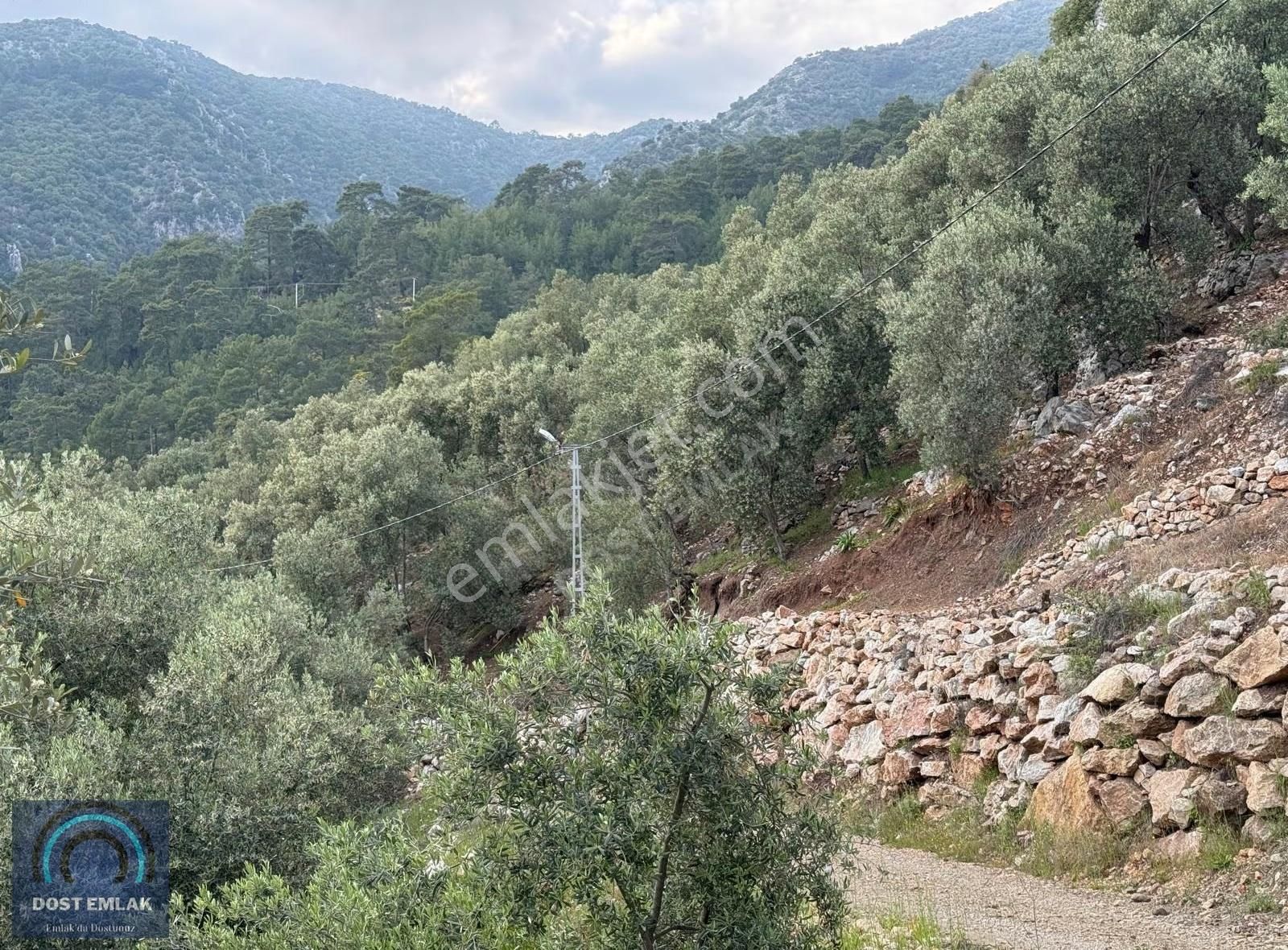 Fethiye İnlicede 2371m² Tek Tapu İki Kat İmarlı Zeytinlik