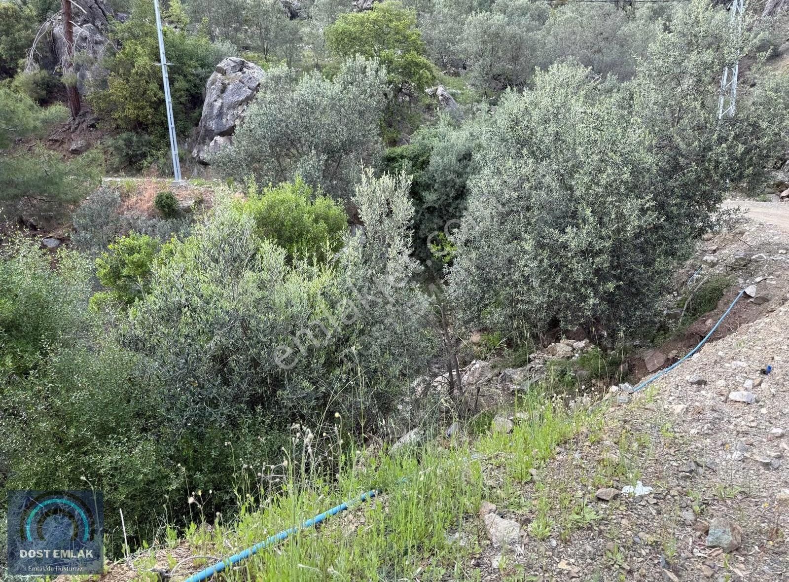 Fethiye İnlicede 2371m² Tek Tapu İki Kat İmarlı Zeytinlik - Görsel 22