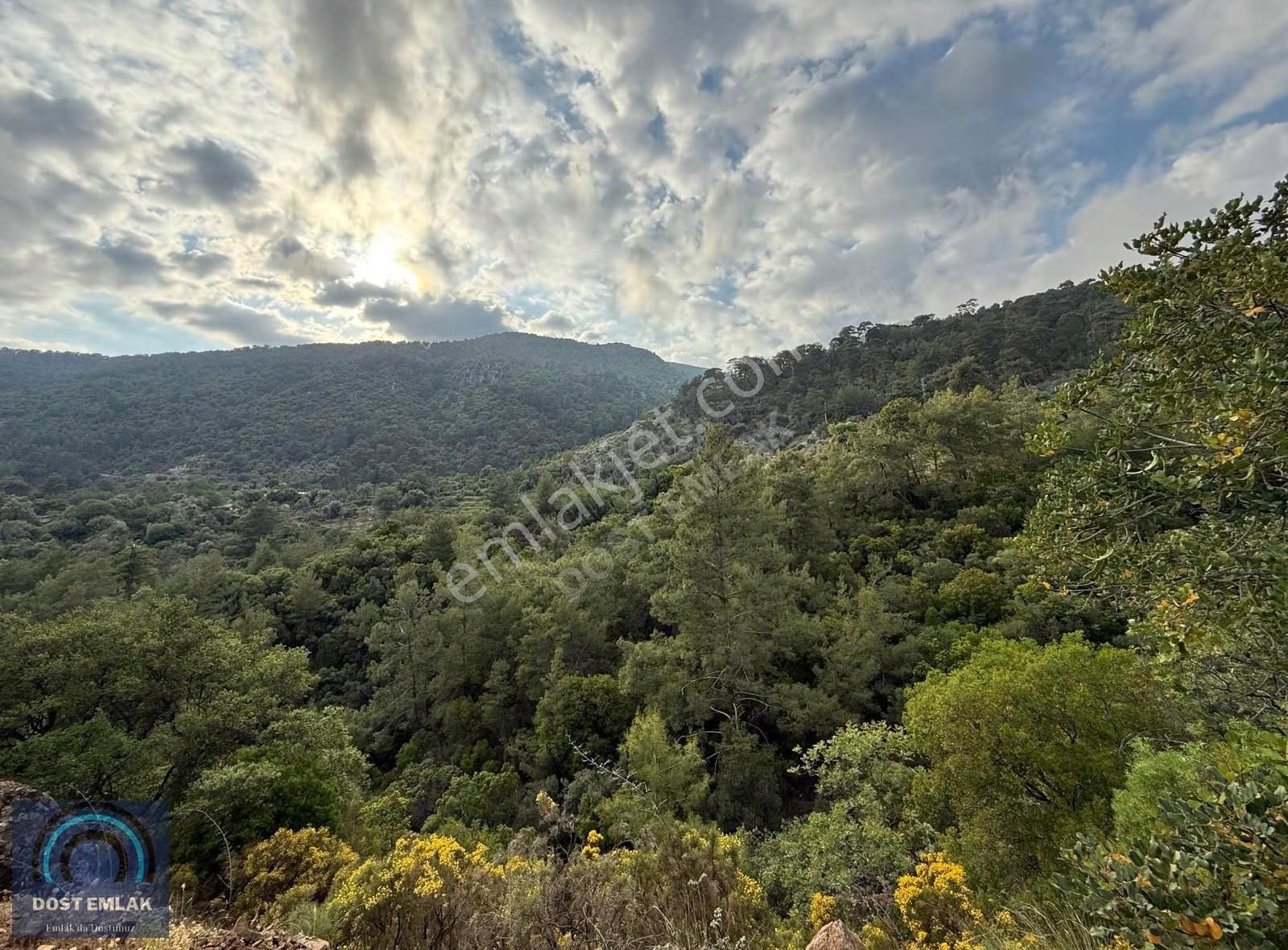 Fethiye İnlicede 2371m² Tek Tapu İki Kat İmarlı Zeytinlik - Görsel 19