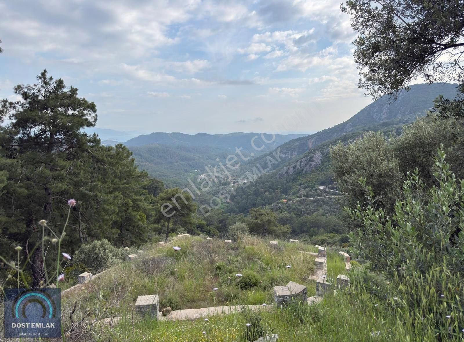 Fethiye İnlicede 2371m² Tek Tapu İki Kat İmarlı Zeytinlik - Görsel 25