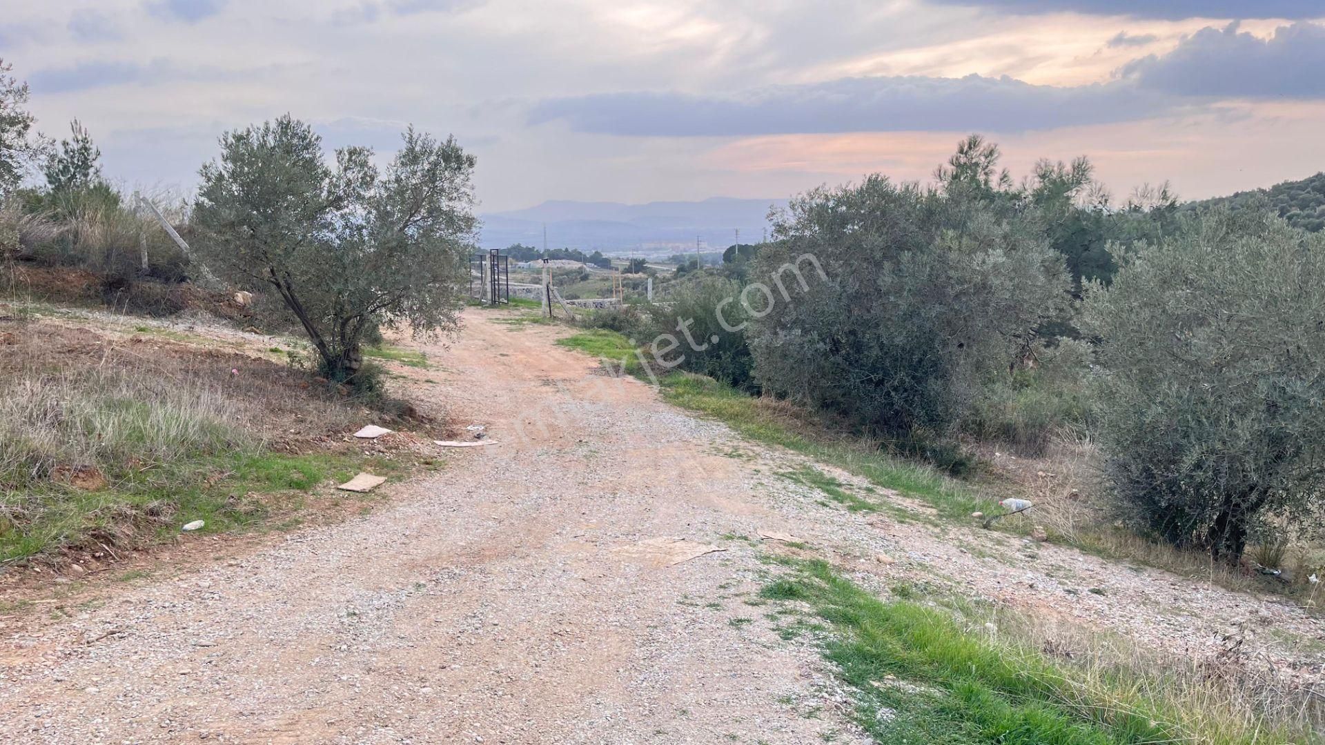 Torbalı Yazıbaşı'nda Satılık 483 M² Villa İmarlı Arsa - Görsel 20