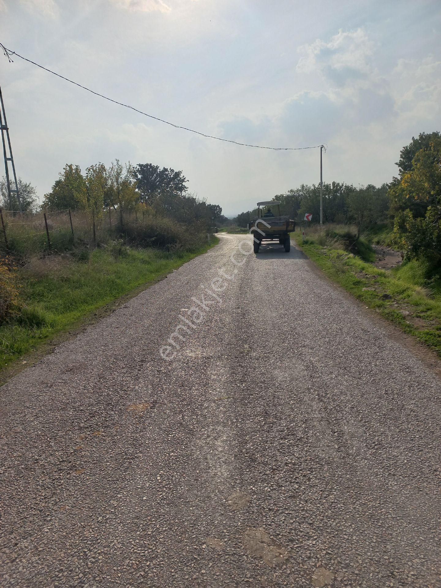 Satılık Müstakiltapu Zeytinlik