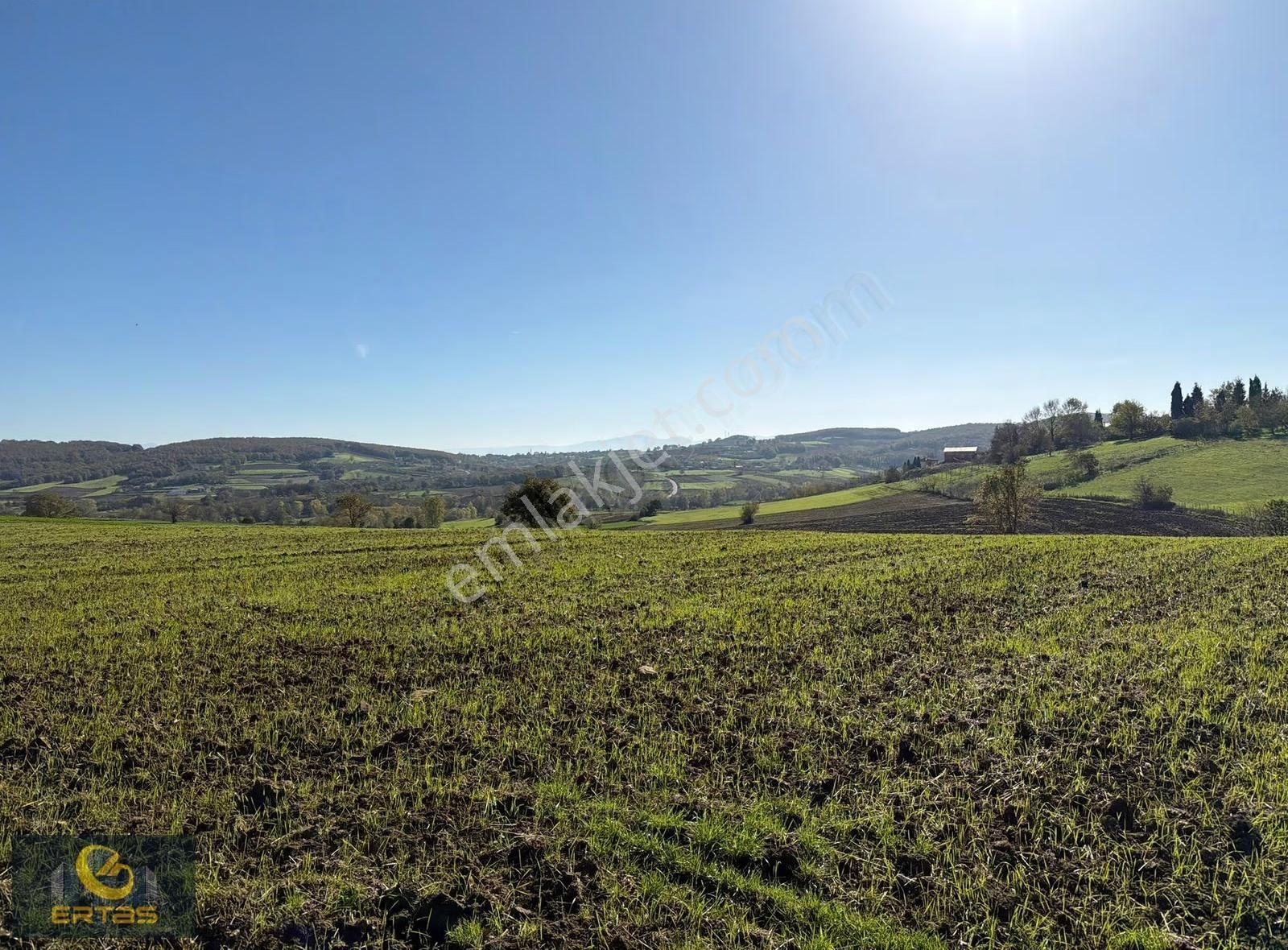 Adapazarı Aşırlar Mahallesi İmar Alana Girmiş Tarla - Görsel 8