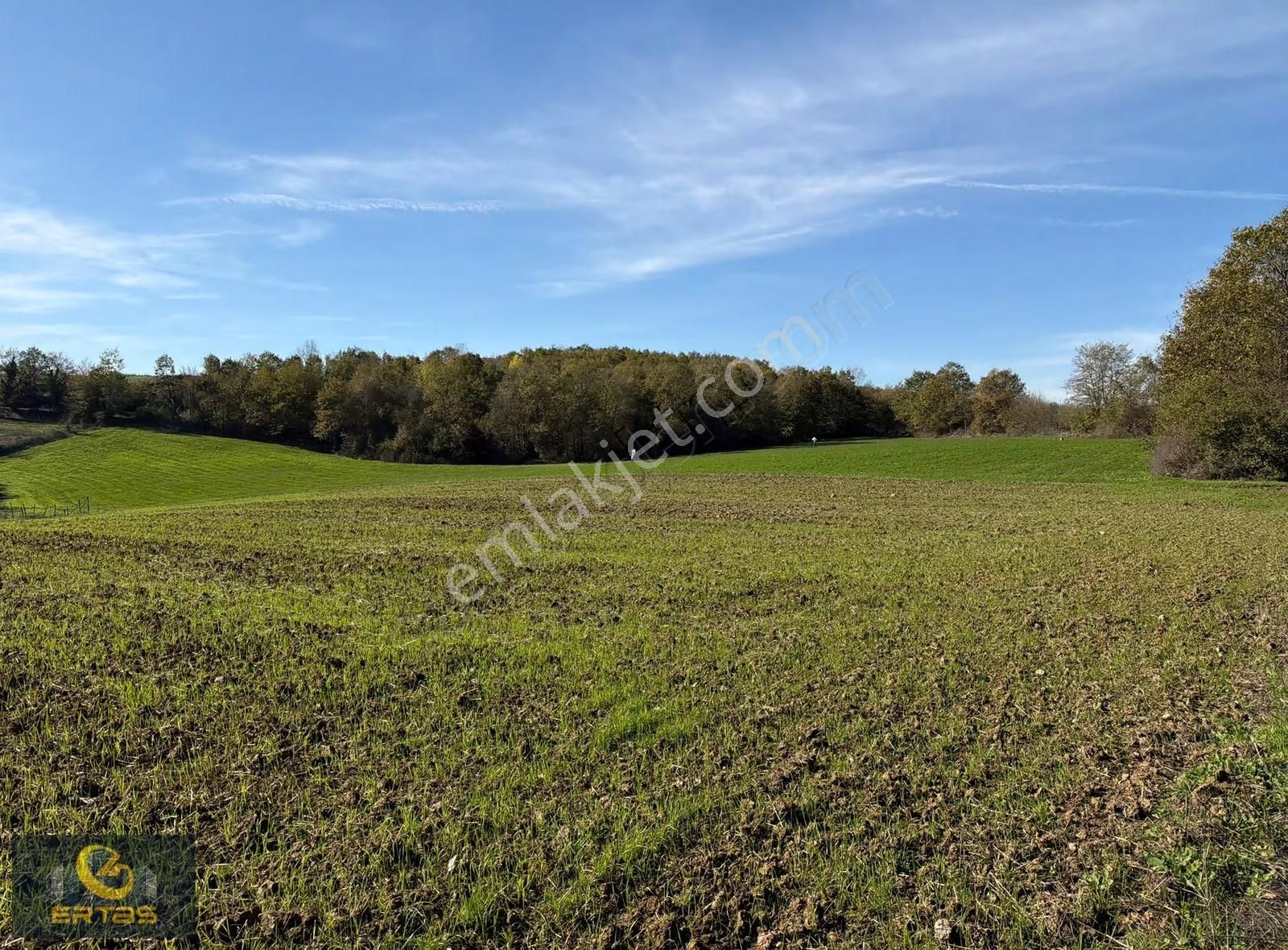 Adapazarı Aşırlar Mahallesi İmar Alana Girmiş Tarla - Görsel 10