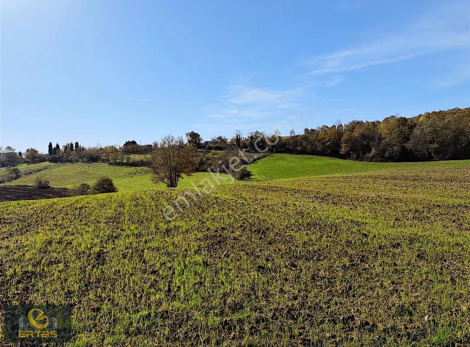 Adapazarı Aşırlar Mahallesi İmar Alana Girmiş Tarla - Görsel 20