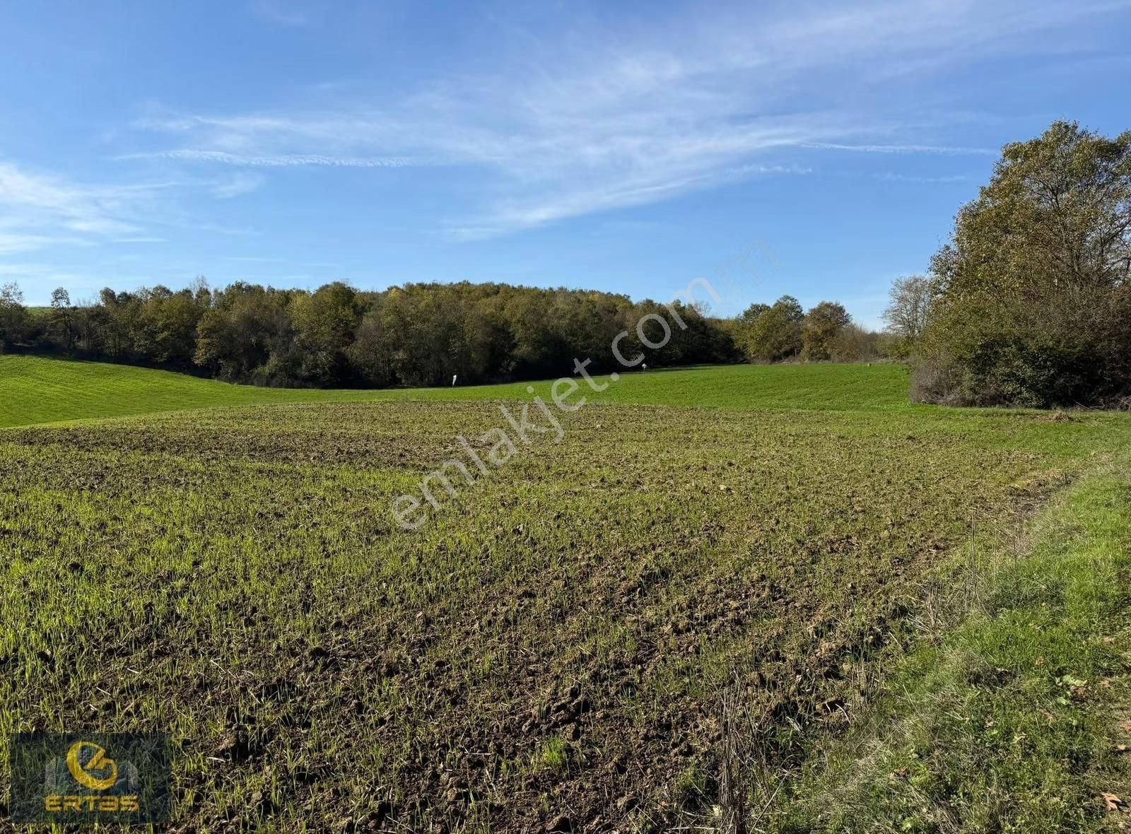 Adapazarı Aşırlar Mahallesi İmar Alana Girmiş Tarla - Görsel 32