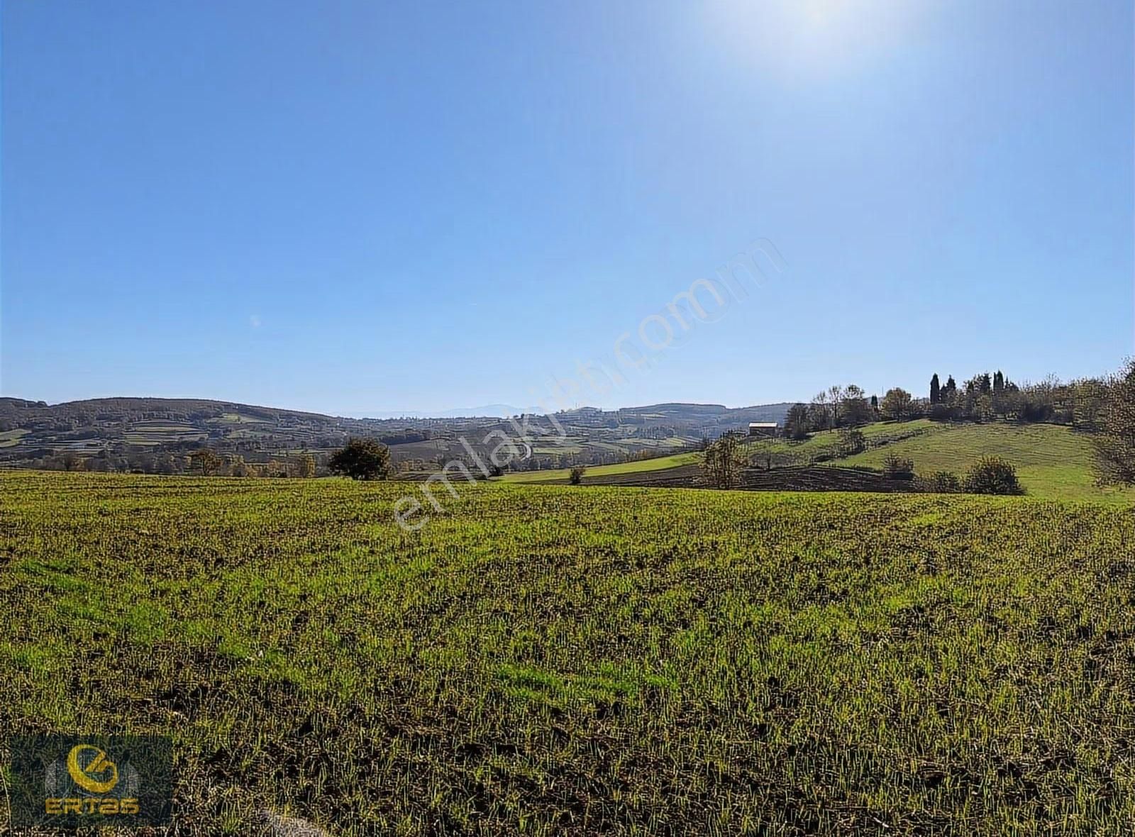 Adapazarı Aşırlar Mahallesi İmar Alana Girmiş Tarla - Görsel 23