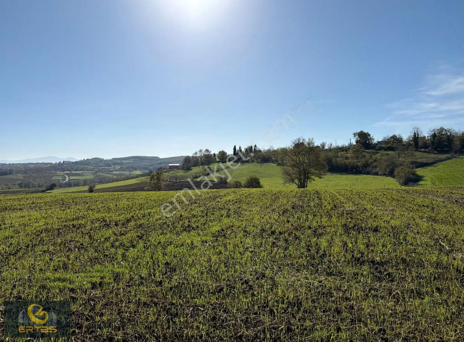 Adapazarı Aşırlar Mahallesi İmar Alana Girmiş Tarla - Görsel 22