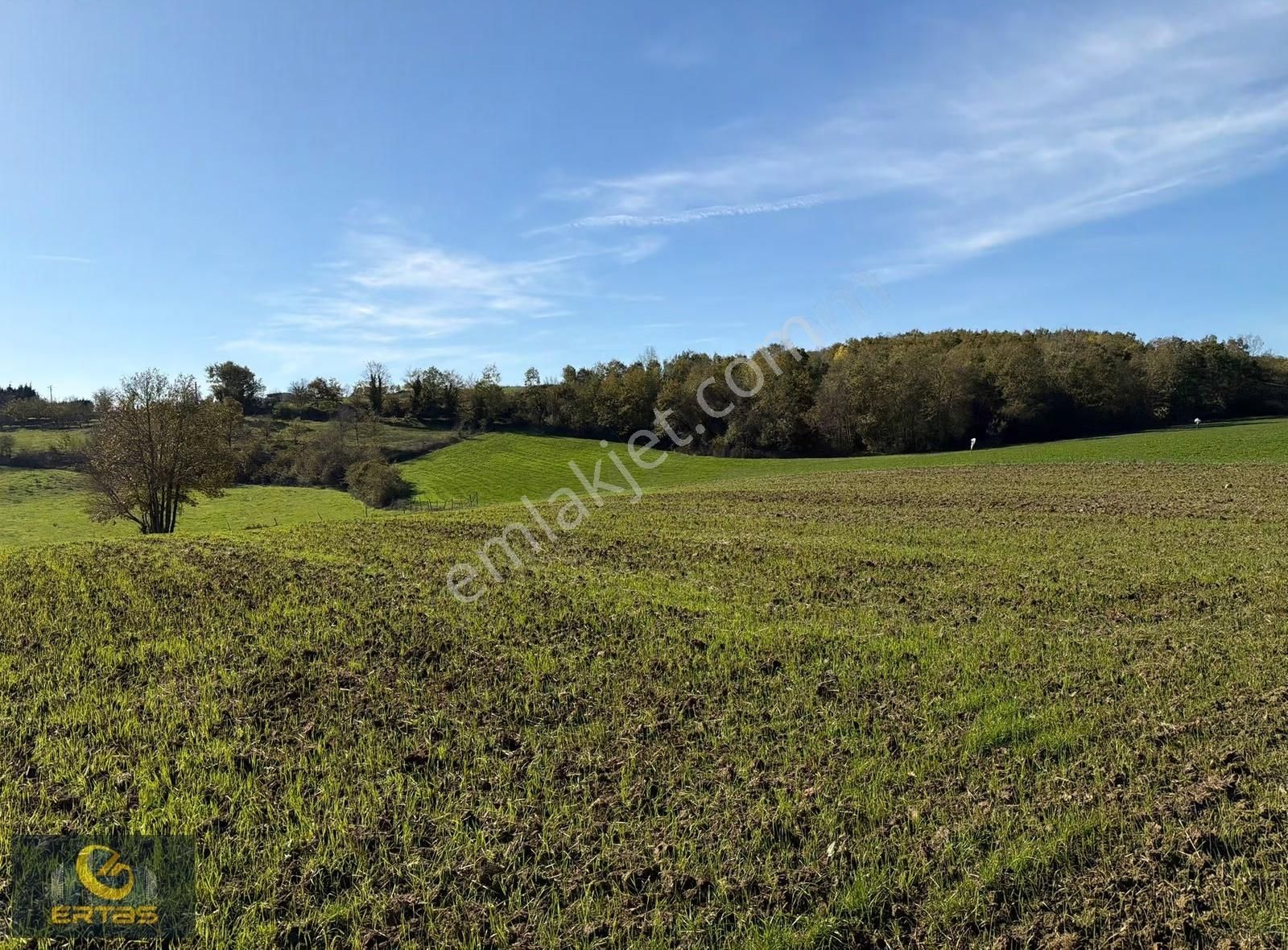Adapazarı Aşırlar Mahallesi İmar Alana Girmiş Tarla - Görsel 24