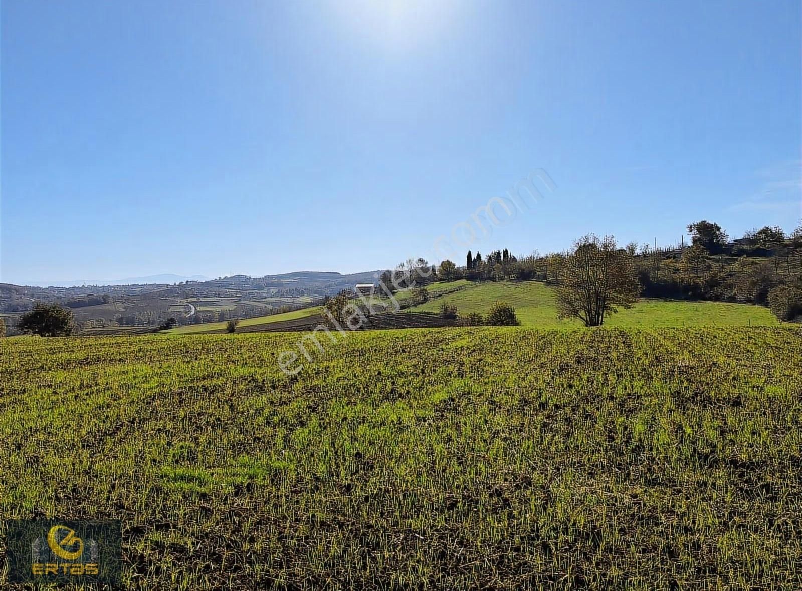 Adapazarı Aşırlar Mahallesi İmar Alana Girmiş Tarla - Görsel 18