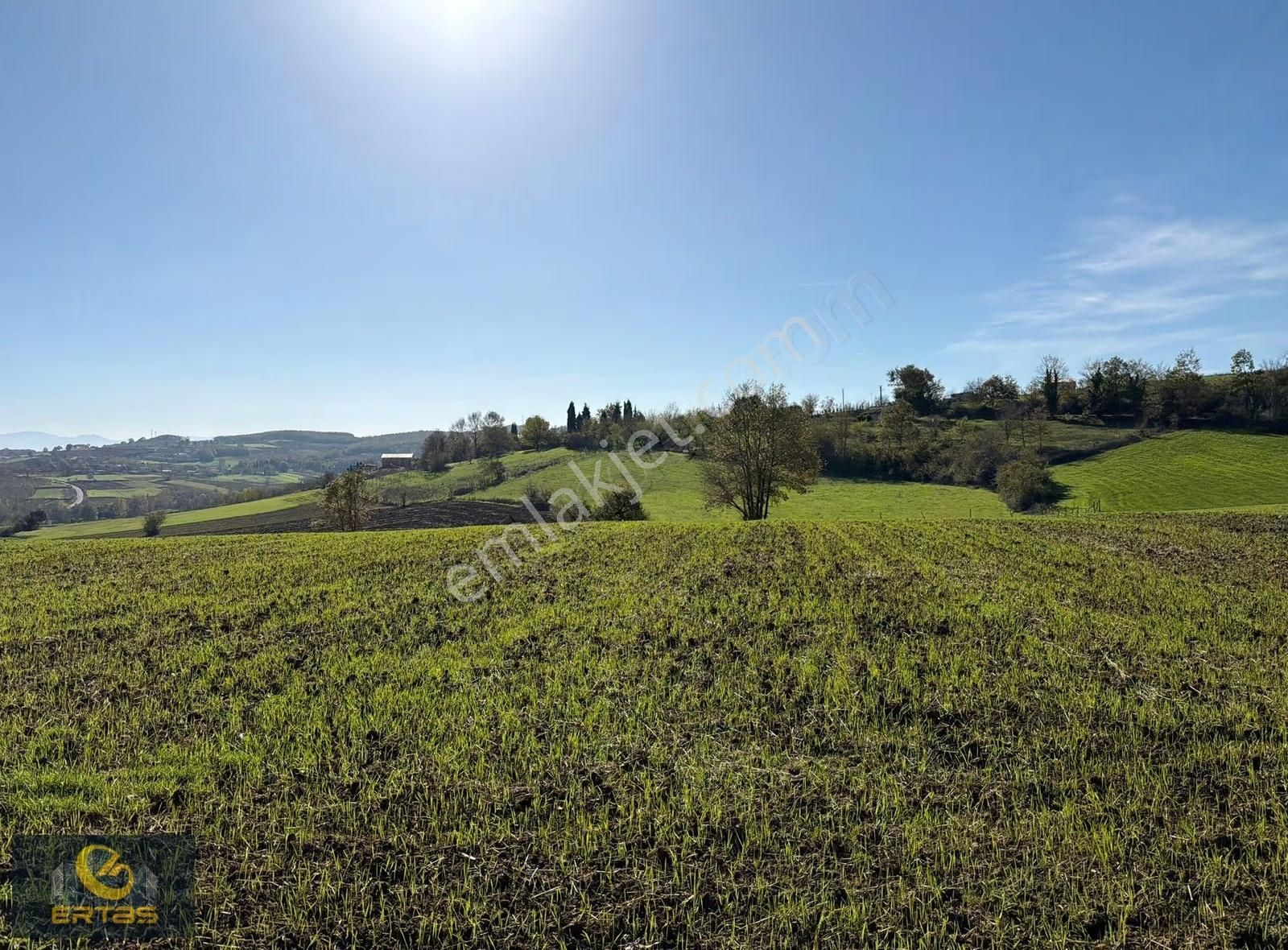 Adapazarı Aşırlar Mahallesi İmar Alana Girmiş Tarla - Görsel 6
