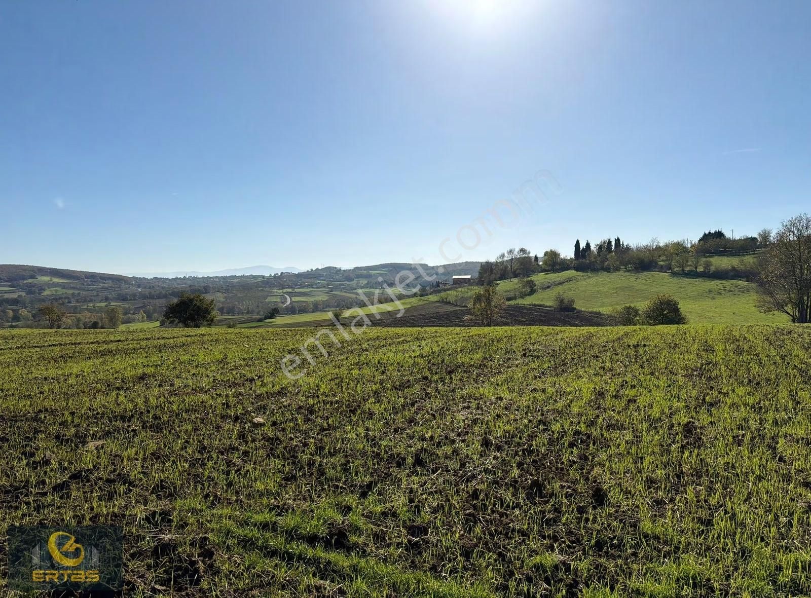 Adapazarı Aşırlar Mahallesi İmar Alana Girmiş Tarla - Görsel 12