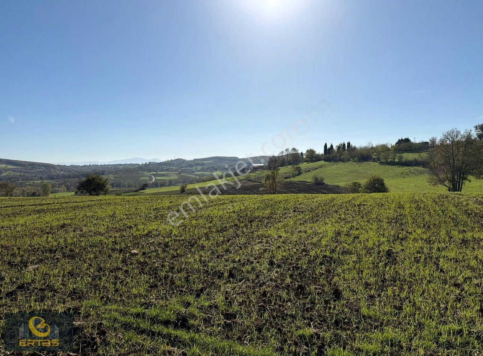 Adapazarı Aşırlar Mahallesi İmar Alana Girmiş Tarla - Görsel 3