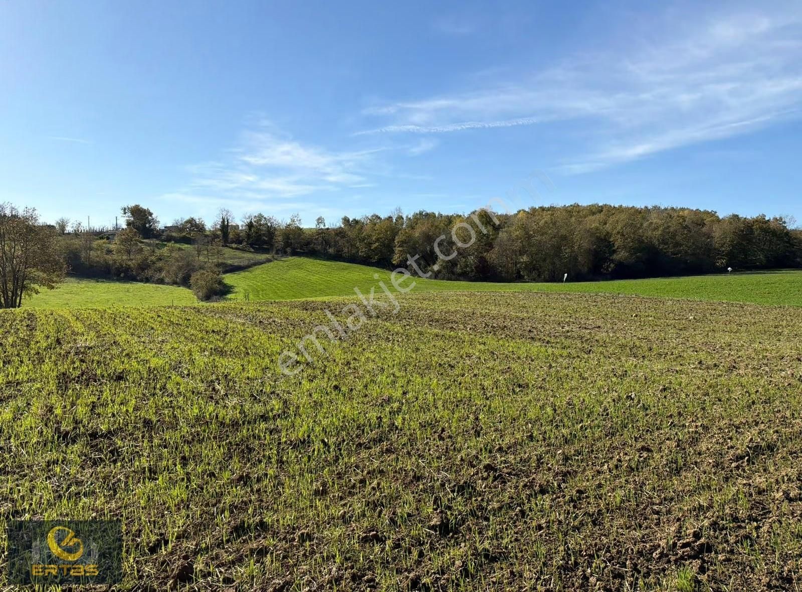 Adapazarı Aşırlar Mahallesi İmar Alana Girmiş Tarla - Görsel 7