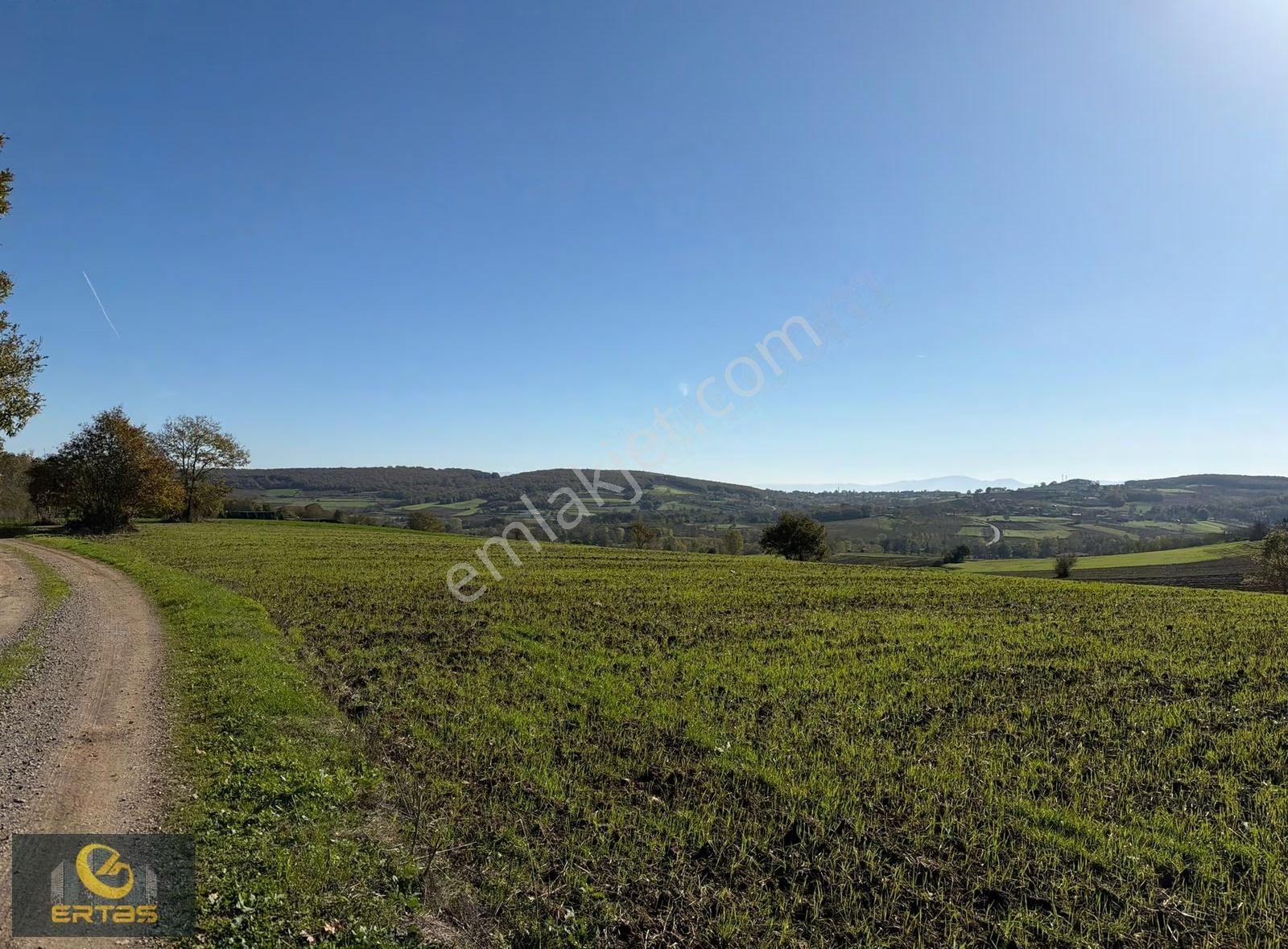 Adapazarı Aşırlar Mahallesi İmar Alana Girmiş Tarla - Görsel 17