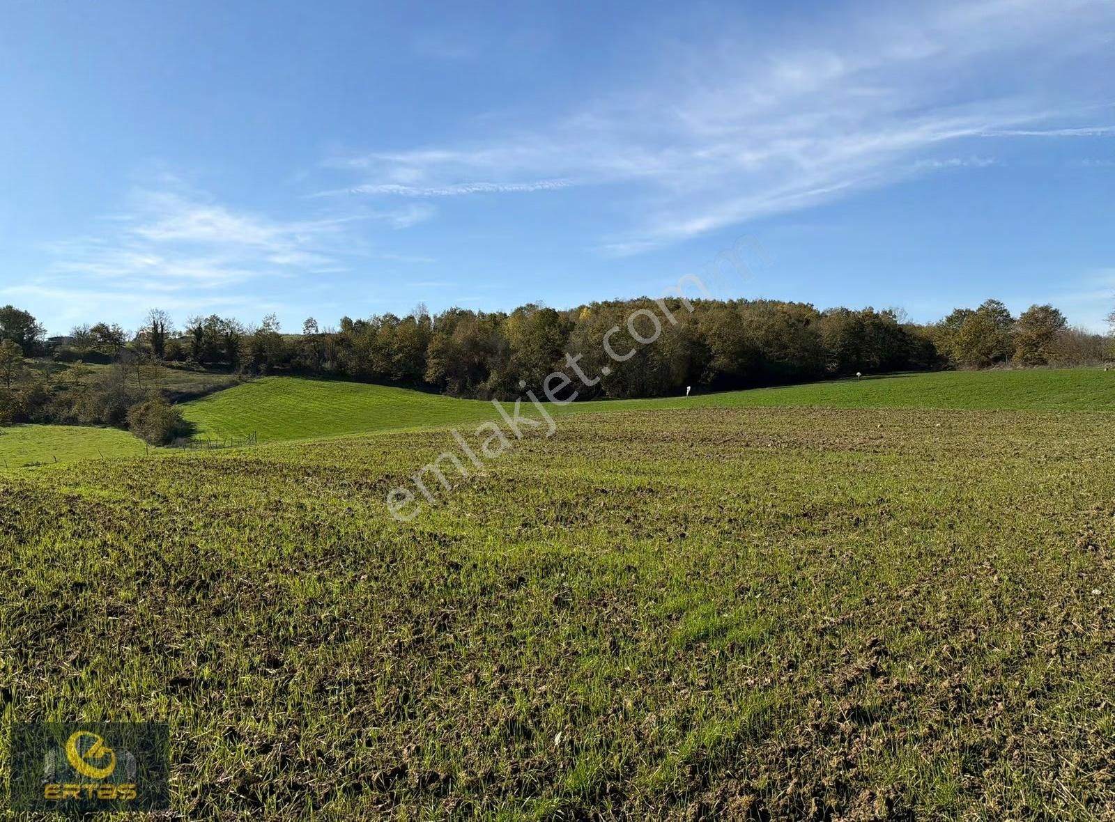 Adapazarı Aşırlar Mahallesi İmar Alana Girmiş Tarla - Görsel 19