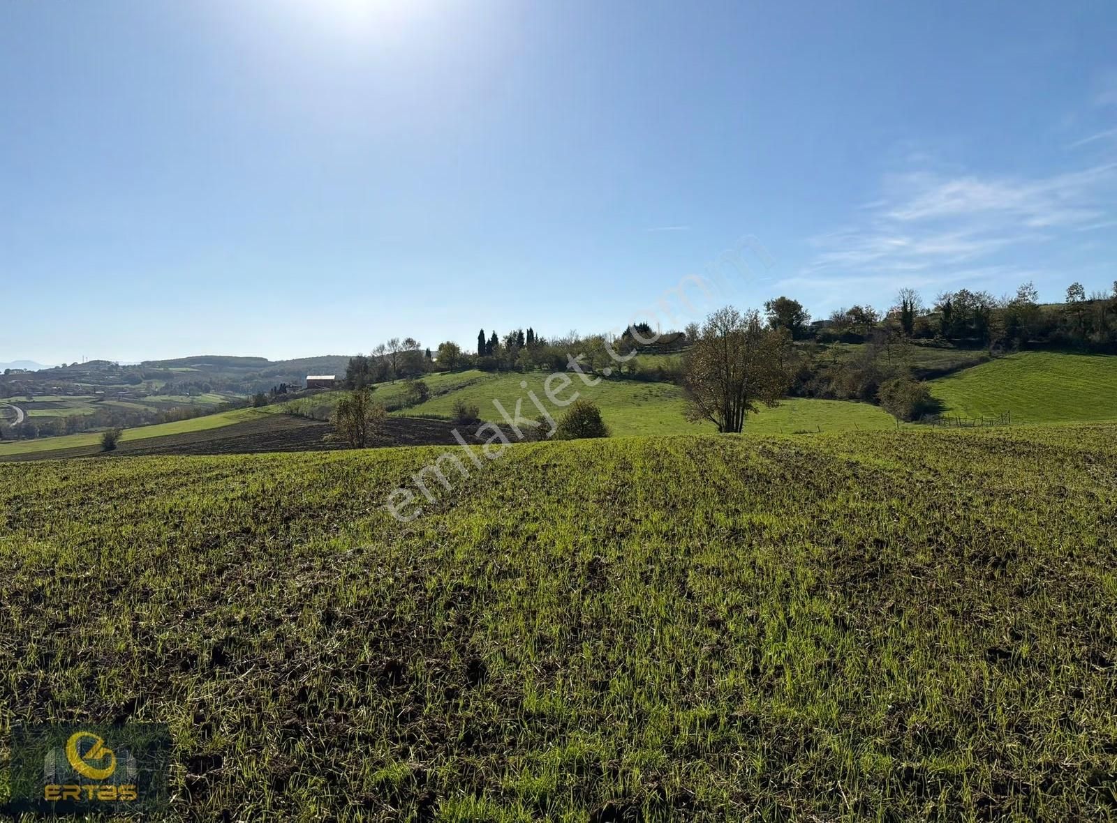 Adapazarı Aşırlar Mahallesi İmar Alana Girmiş Tarla - Görsel 31