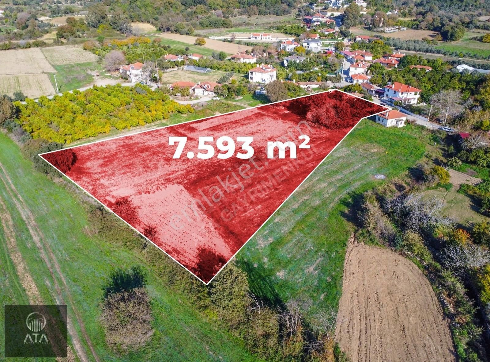 Ata'dan Ula Çıtlık'ta Köy İçi İmarlı 7.593 M² Çiftlik Arazisi - Görsel 11