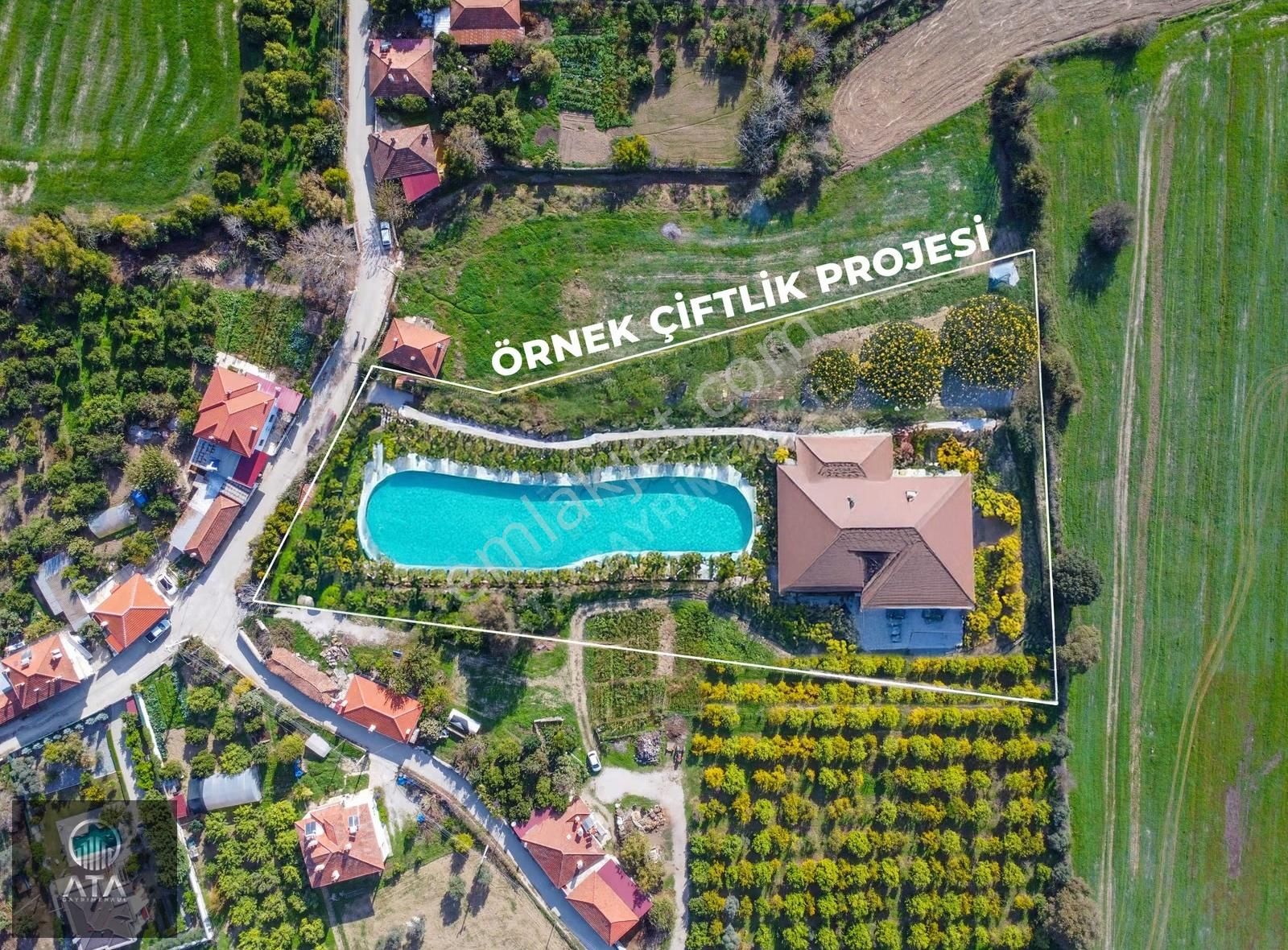 Ata'dan Ula Çıtlık'ta Köy İçi İmarlı 7.593 M² Çiftlik Arazisi - Görsel 8